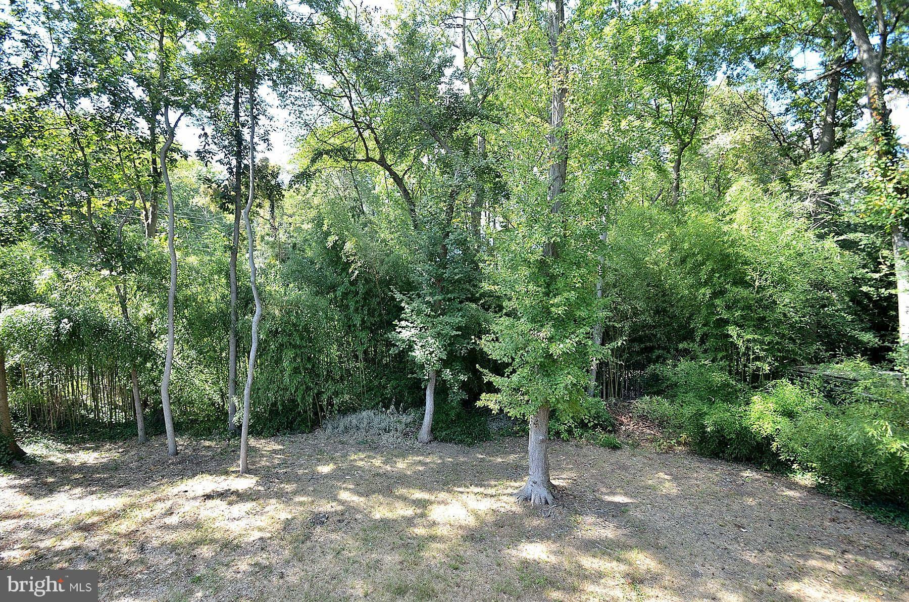 7612 Elba Road Alexandria, VA 22306 - Photo 4 of 4 Back Yard