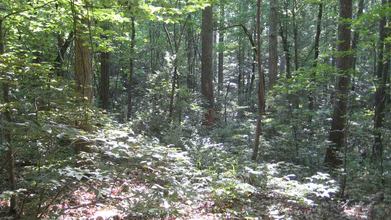 Watson Road Chapel Hill, NC 27516 - Photo 11 of 13 Photo 11