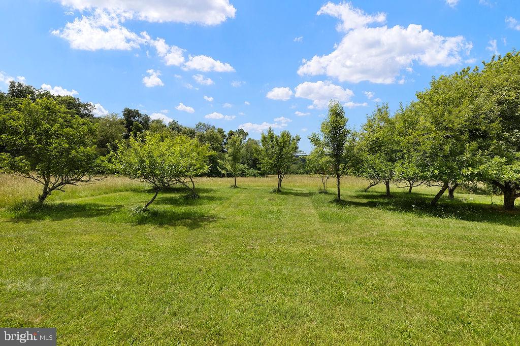 175 Knorr Road Gettysburg, PA 17325 - Photo 94 of 99