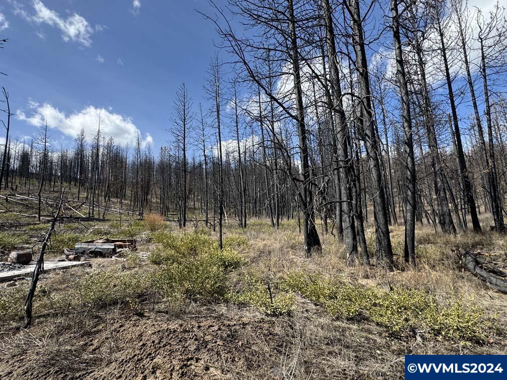 800 Nf 4464 Road Chiloquin, OR 97624 - Photo 14 of 25
