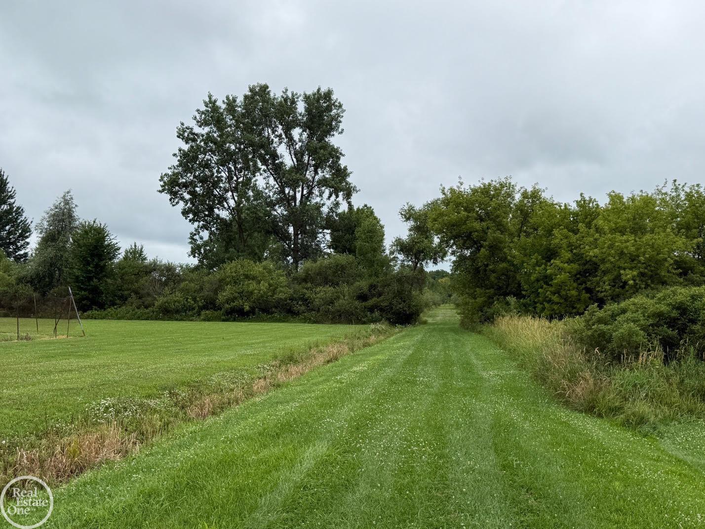 15594 Bryce Road Capac, MI 48014 - Photo 21 of 44 Gallery Image 21