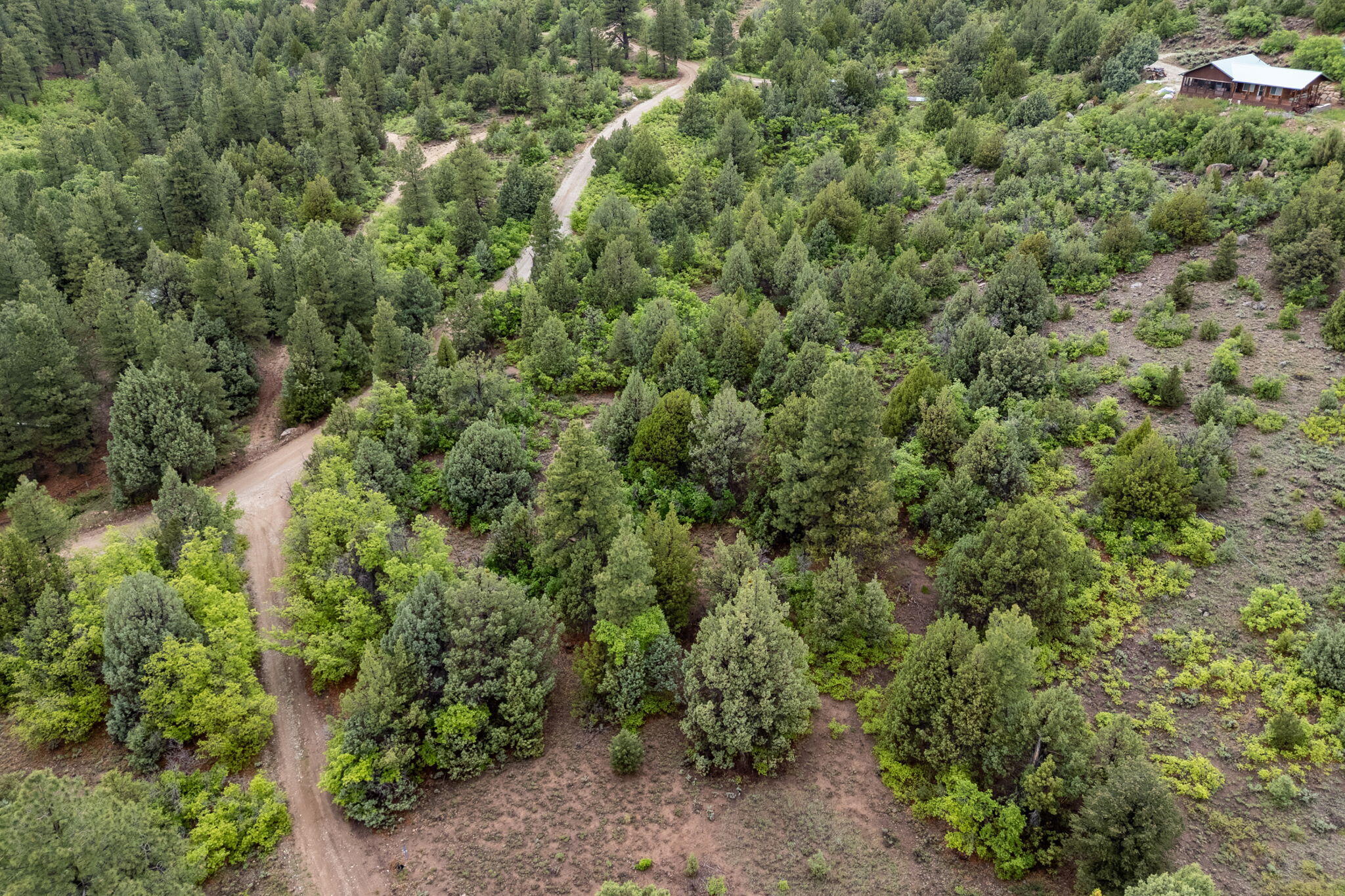 2657 East Oak Tree Trail, Unit 22 Springdale, UT 84767 - Photo 13 of 15 13-web-or-mls-Oak Tree Lot - www.aspencr