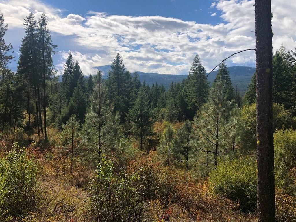 1080 Middle Basin Road, Unit G Colville, WA 99114 - Photo 3 of 24