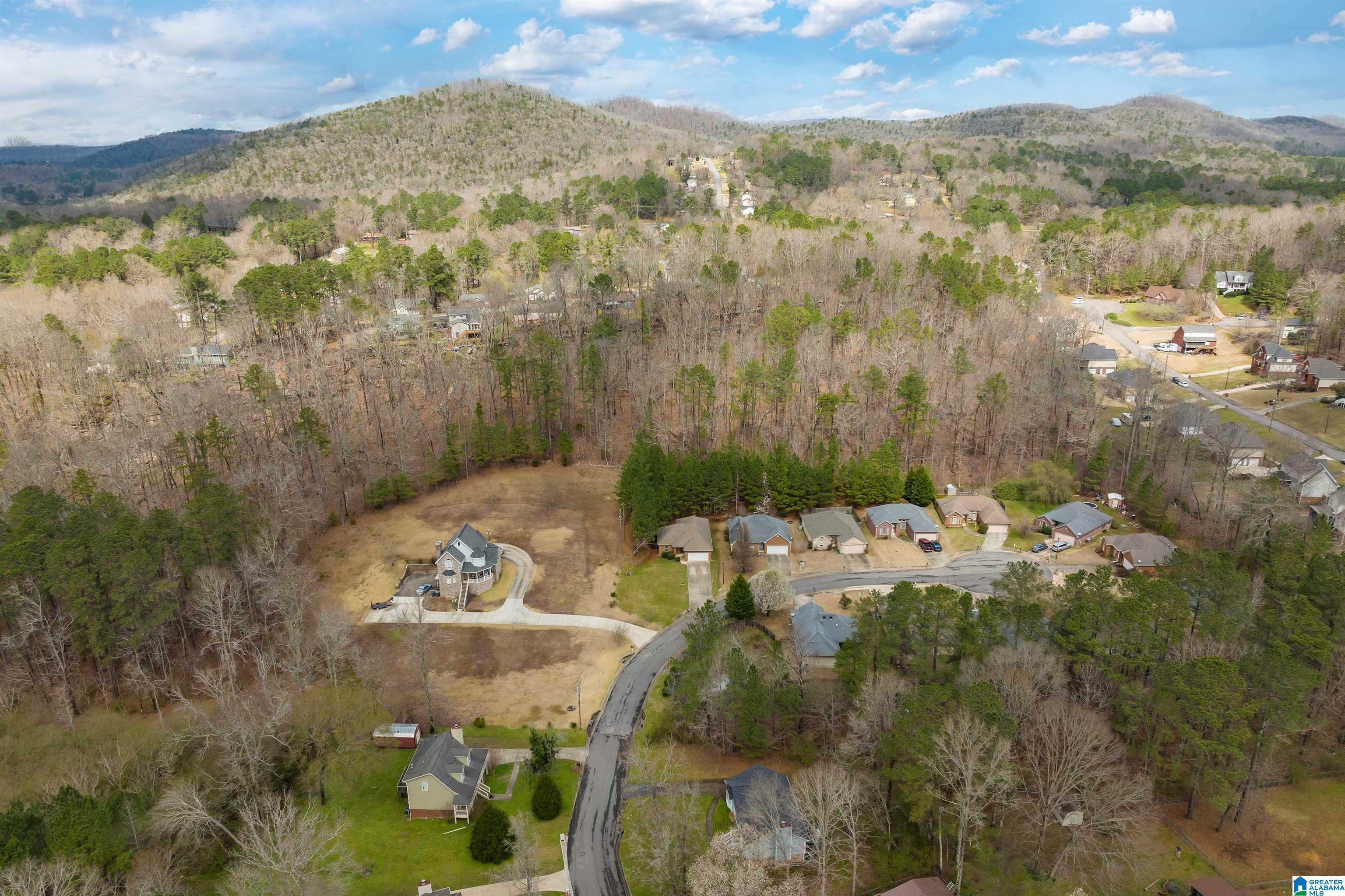 6734 Heaton Manor Pinson, AL 35126 - Photo 26 of 29