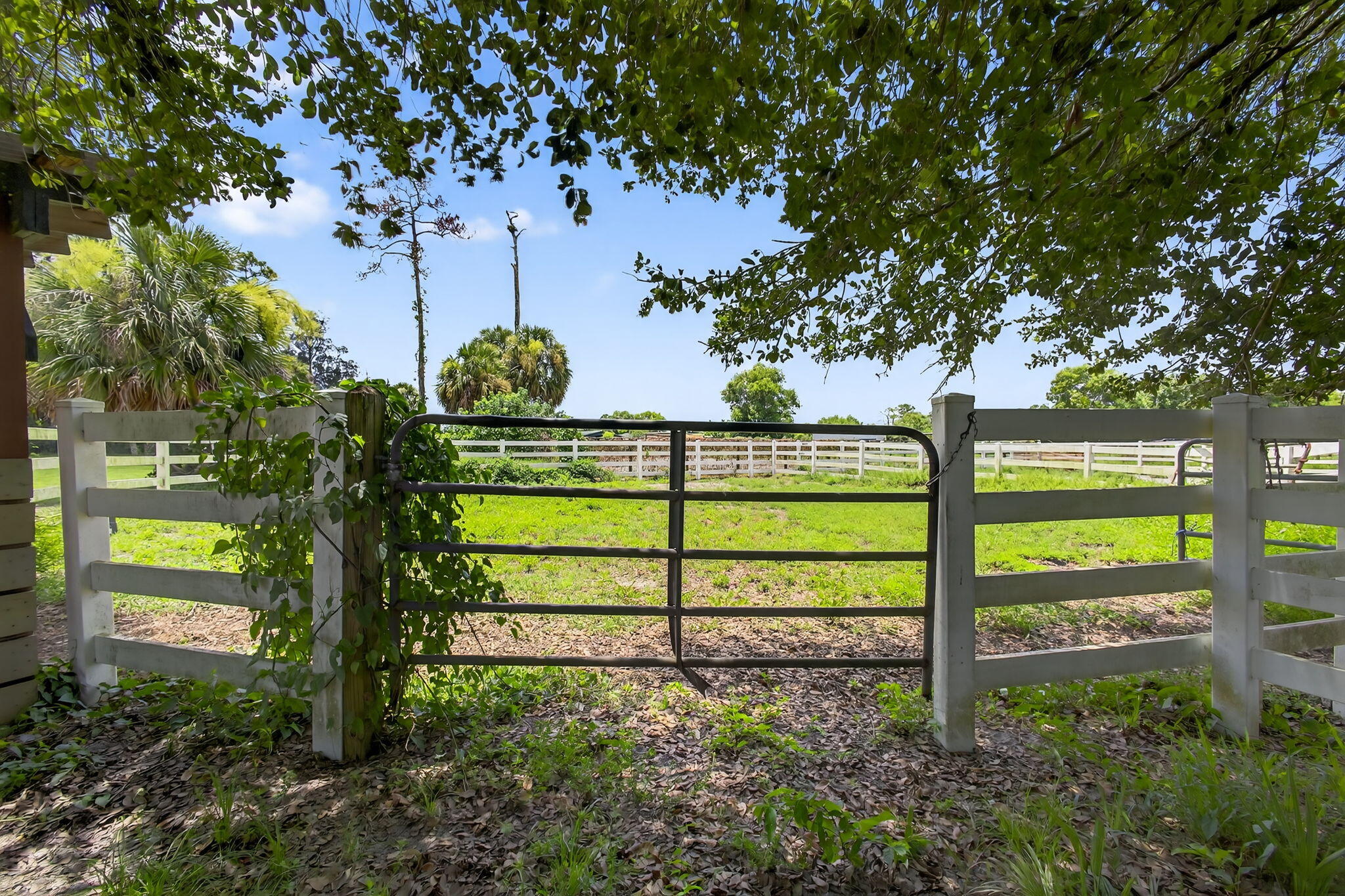 14095 Biddex Road Loxahatchee Groves, FL 33470 - Photo 18 of 60 73-web-or-mls-BS1A5074