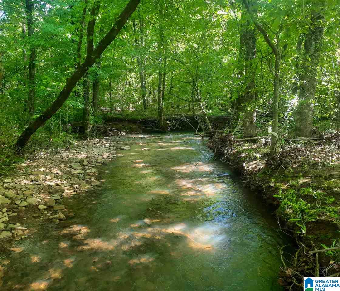 0 Mountain Gap Road, Unit 27 ACRES Cleveland, AL 35049 - Photo 7 of 7