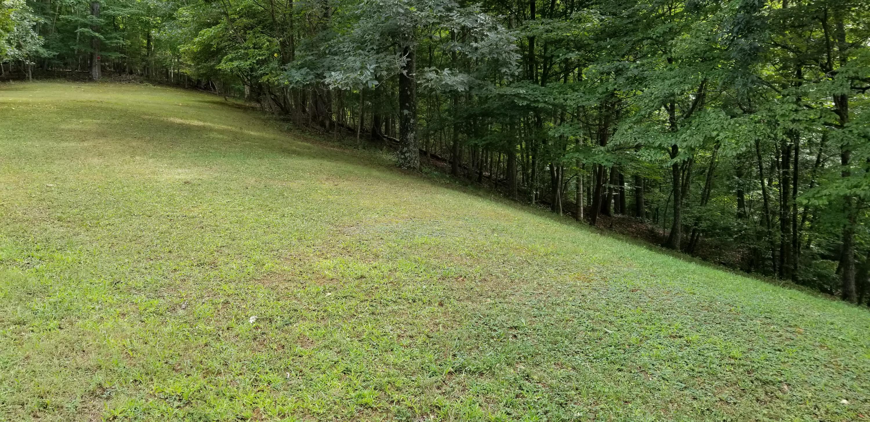 4232 Carr Rouse Road Roanoke, VA 24014 - Photo 43 of 47 20210815_160239