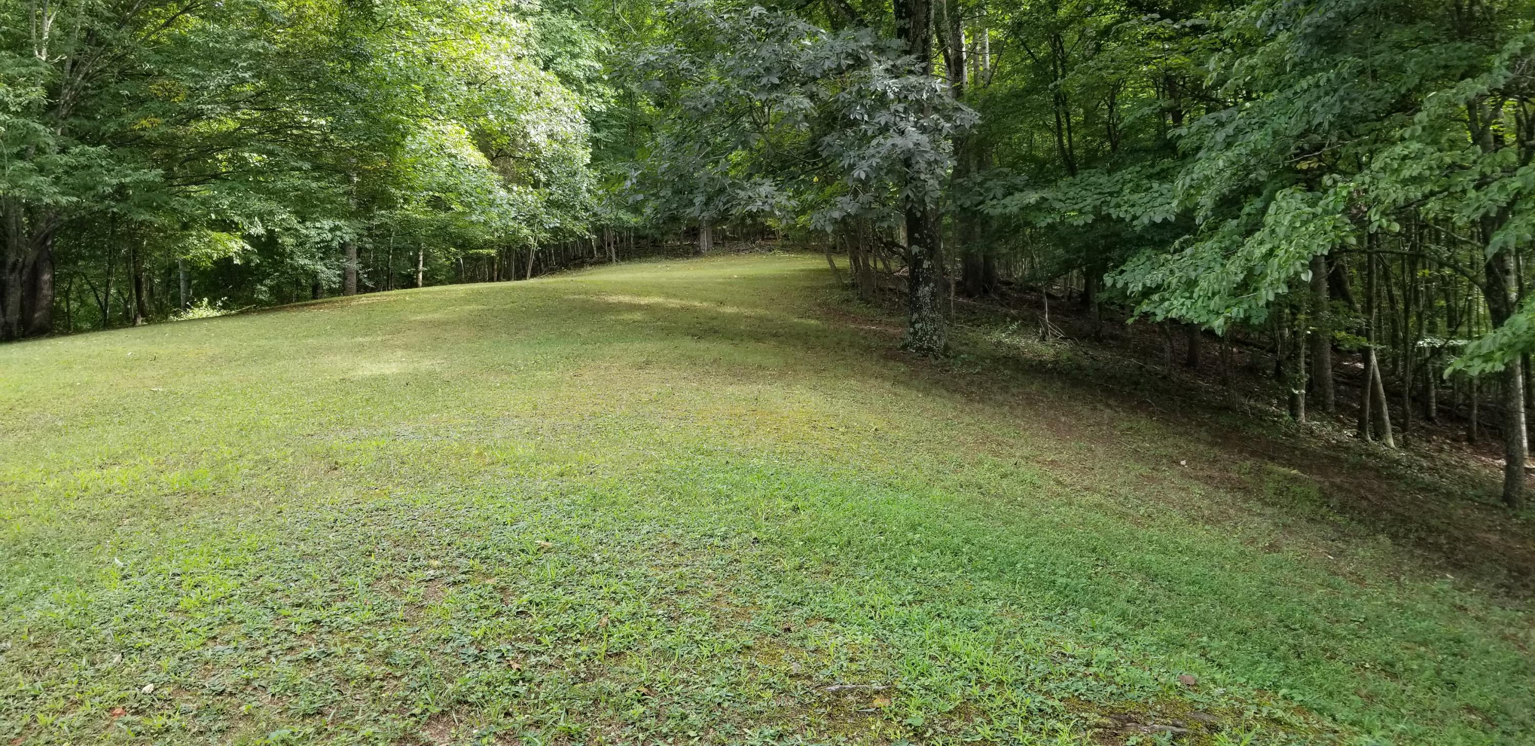 4232 Carr Rouse Road Roanoke, VA 24014 - Photo 45 of 47 20210815_160251