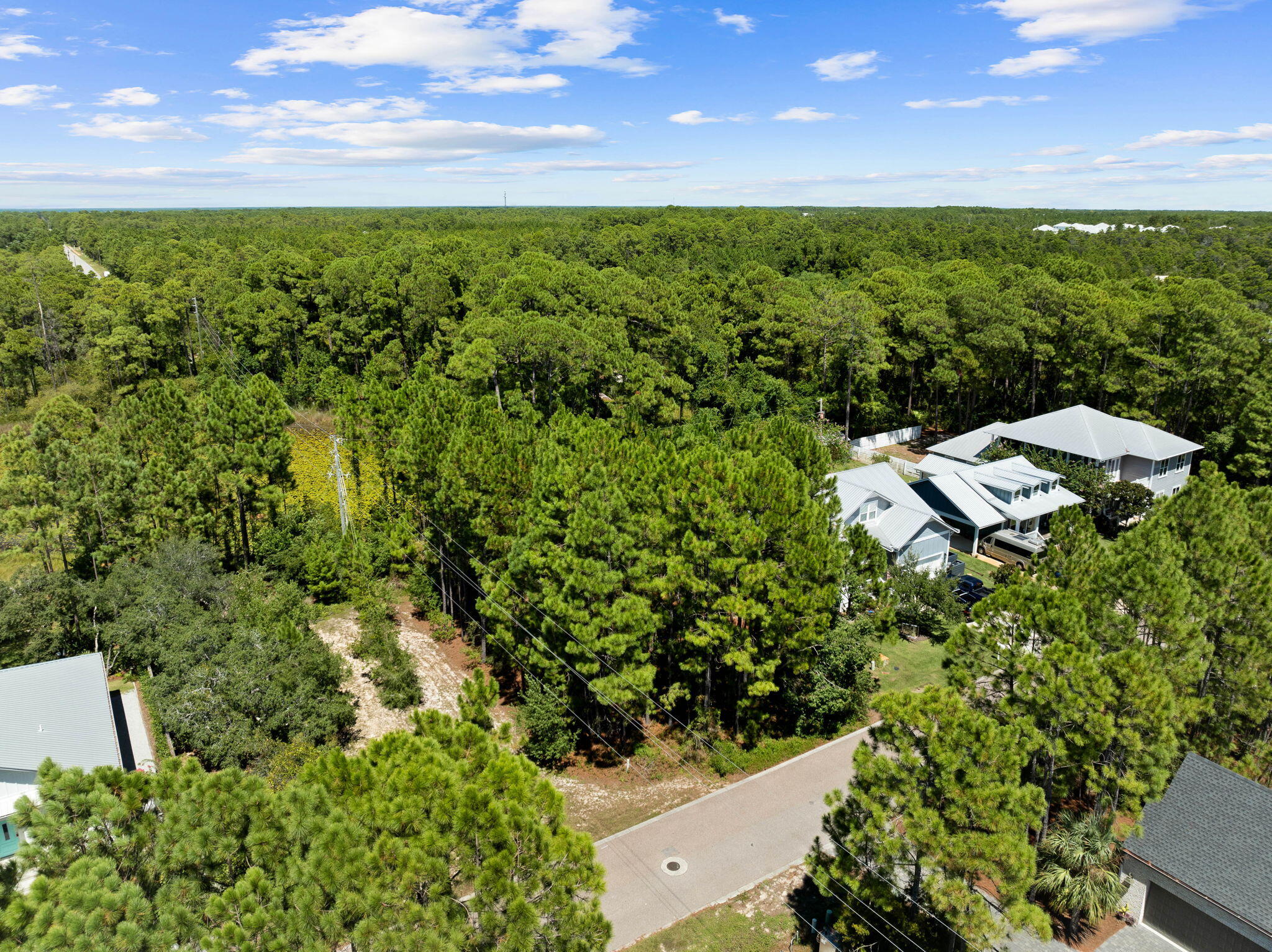 31 Spotted Dolphin Road Santa Rosa Beach, FL 32459 - Photo 11 of 28 an aerial view of a house with a yard