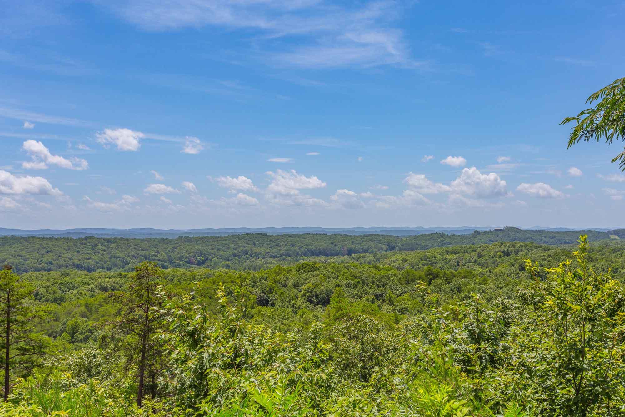 681 Taylor Smith Road Rock Spring, GA 30739 - Photo 4 of 89 681-Taylor-Smith-HD--10