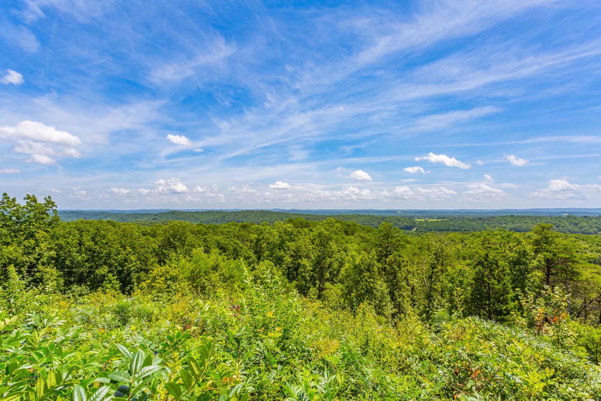 681 Taylor Smith Road Rock Spring, GA 30739 - Photo 75 of 89 681-Taylor-Smith-HD--12
