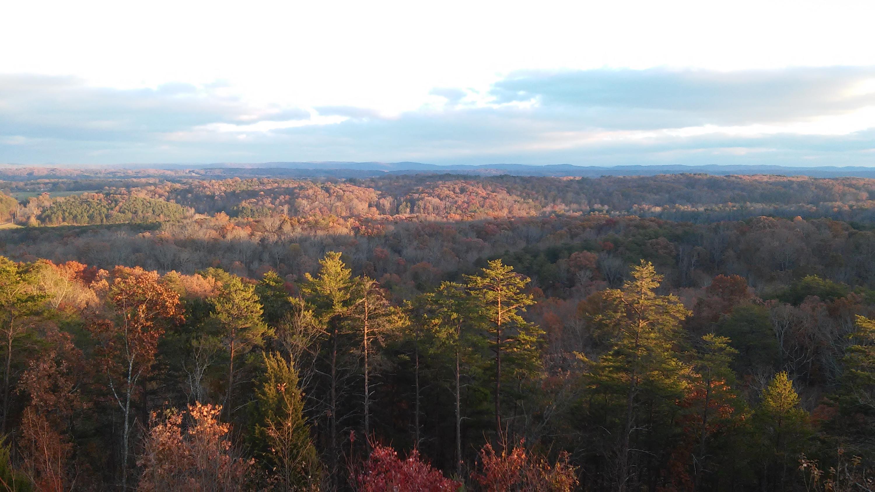 681 Taylor Smith Road Rock Spring, GA 30739 - Photo 76 of 89 20141117_171123