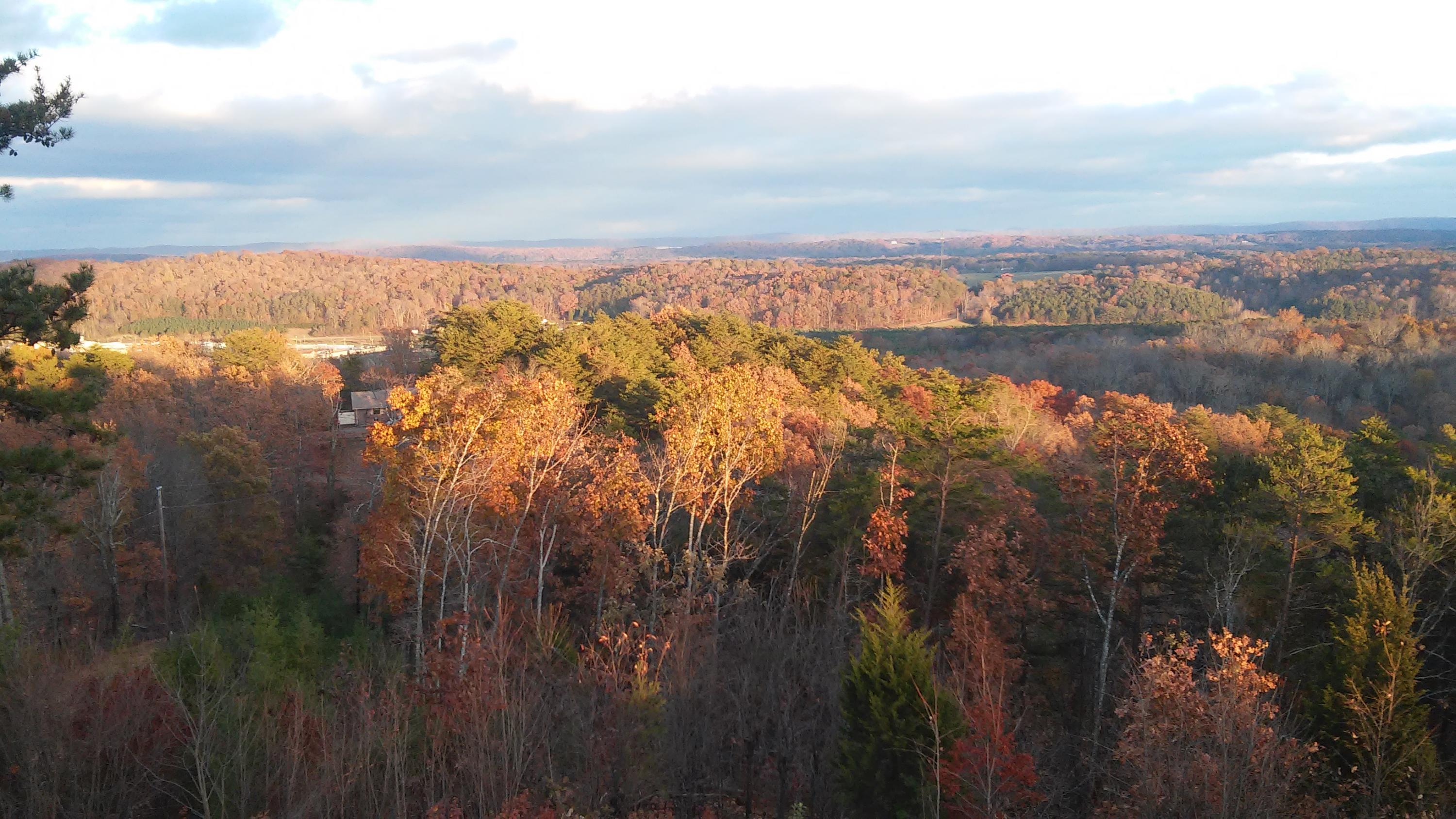 681 Taylor Smith Road Rock Spring, GA 30739 - Photo 87 of 89 20141117_171128