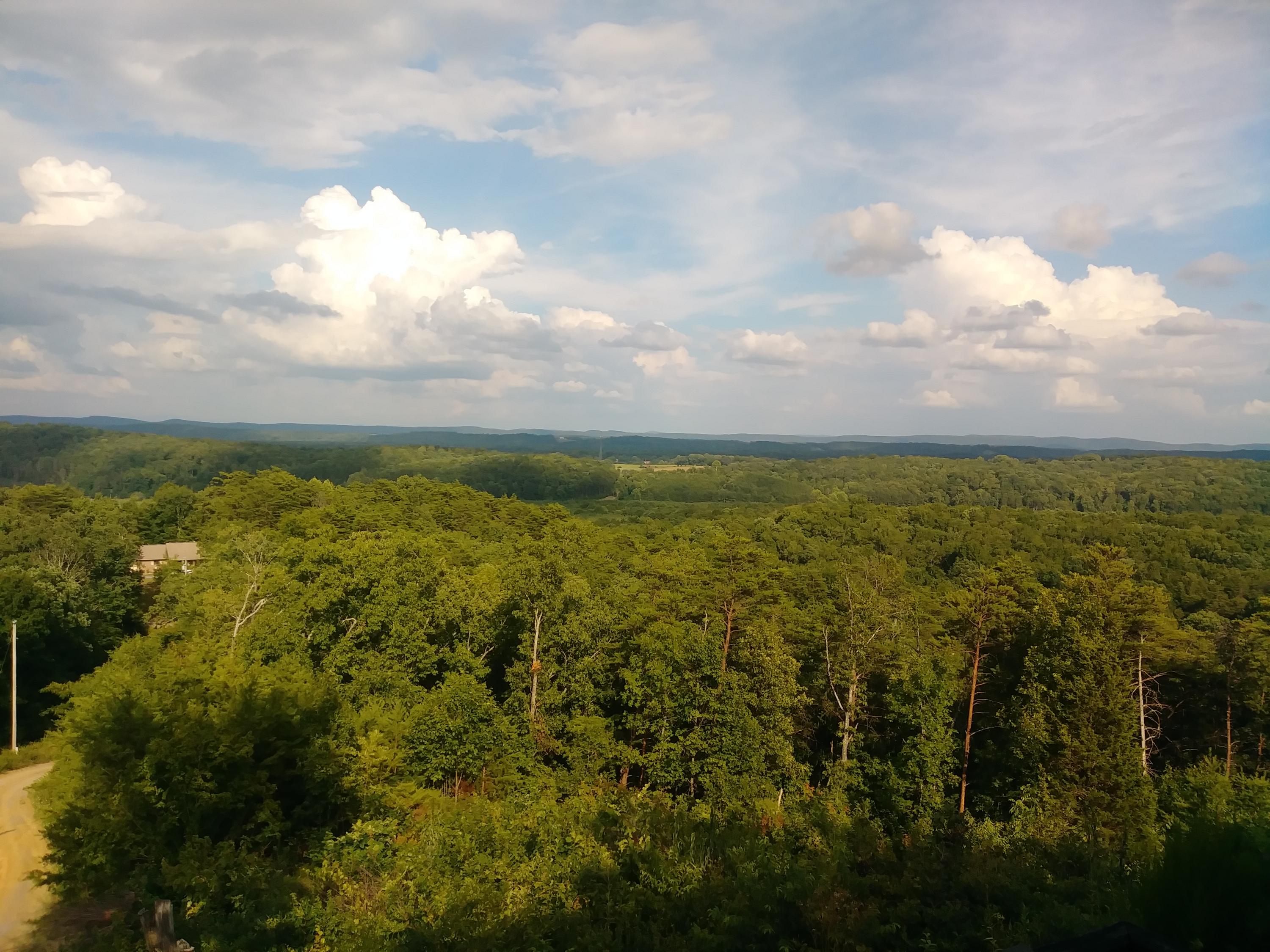 681 Taylor Smith Road Rock Spring, GA 30739 - Photo 88 of 89 20190707_181134