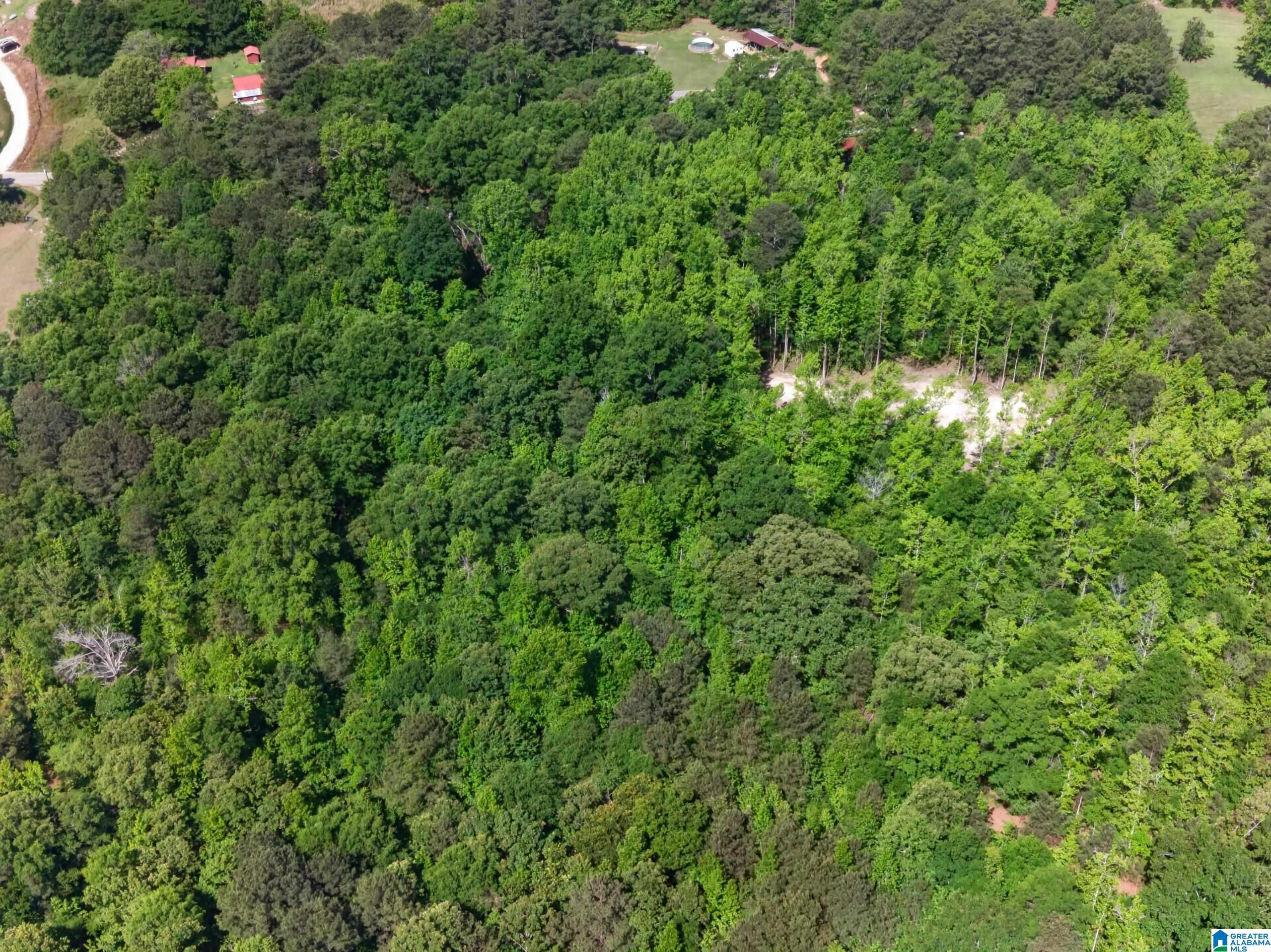 0 Pruitt Road Piedmont, AL 36272 - Photo 6 of 13