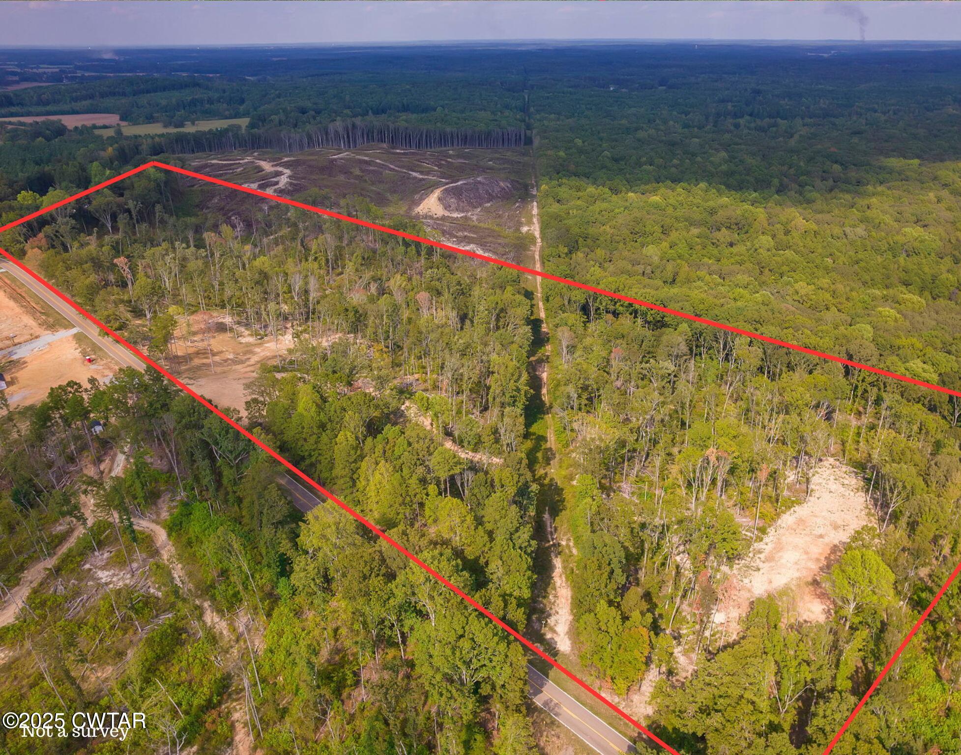 0 Tn-225 Henderson, TN 38340 - Photo 4 of 11