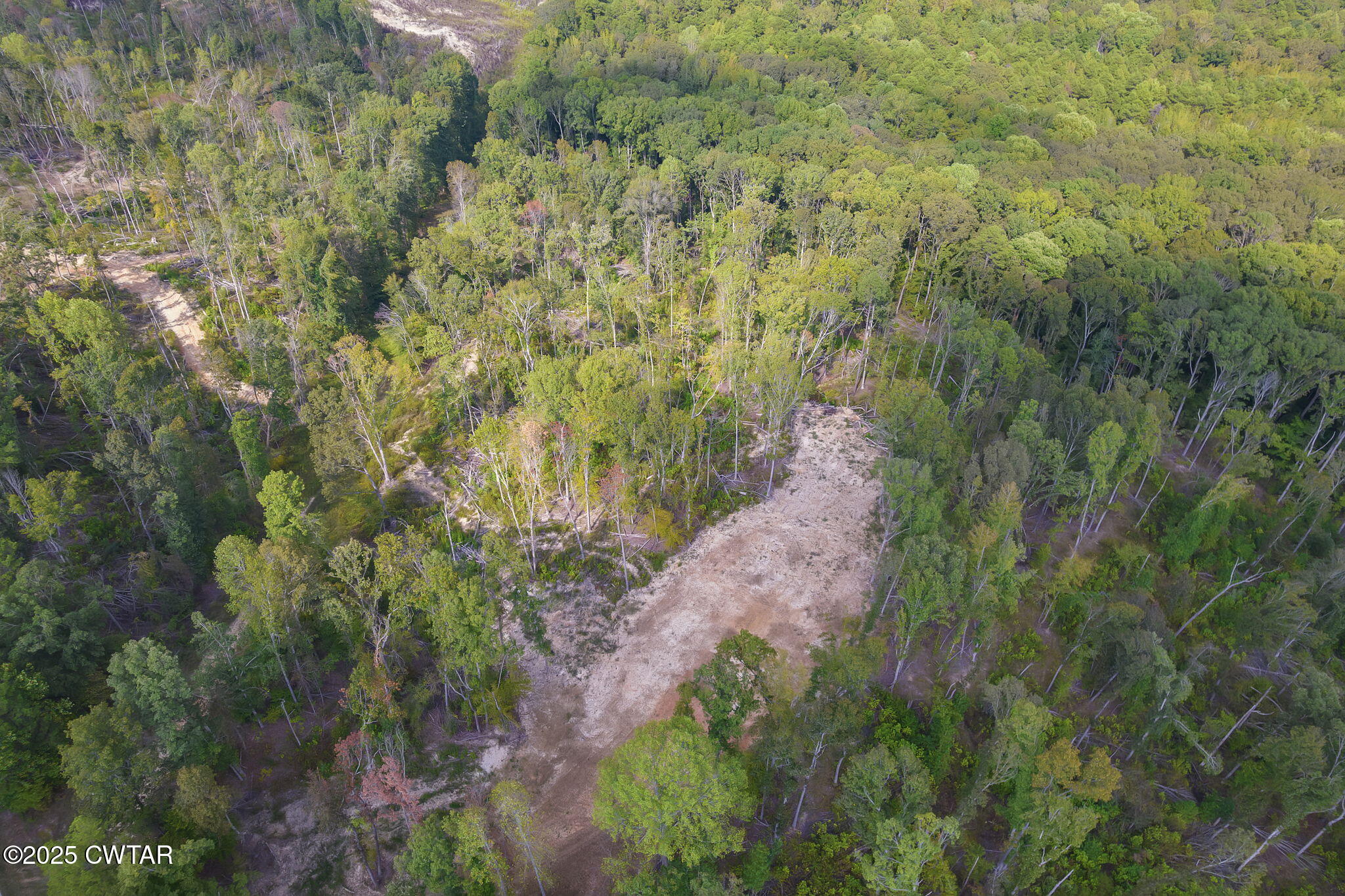 0 Tn-225 Henderson, TN 38340 - Photo 6 of 11 a view of a lush green forest with lots of trees