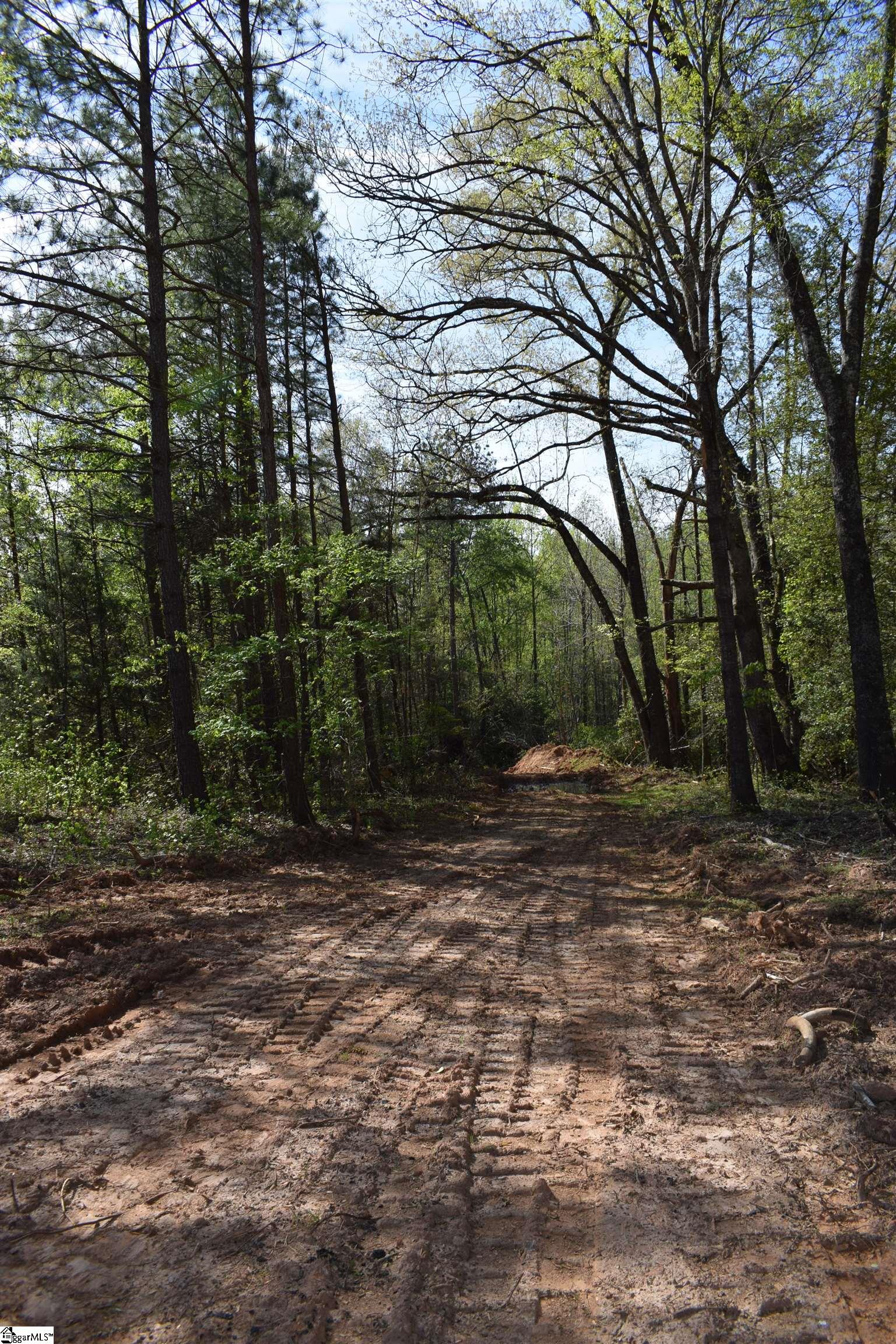 277 Philadelphia Church Road Ellenboro, NC 28040 - Photo 11 of 34