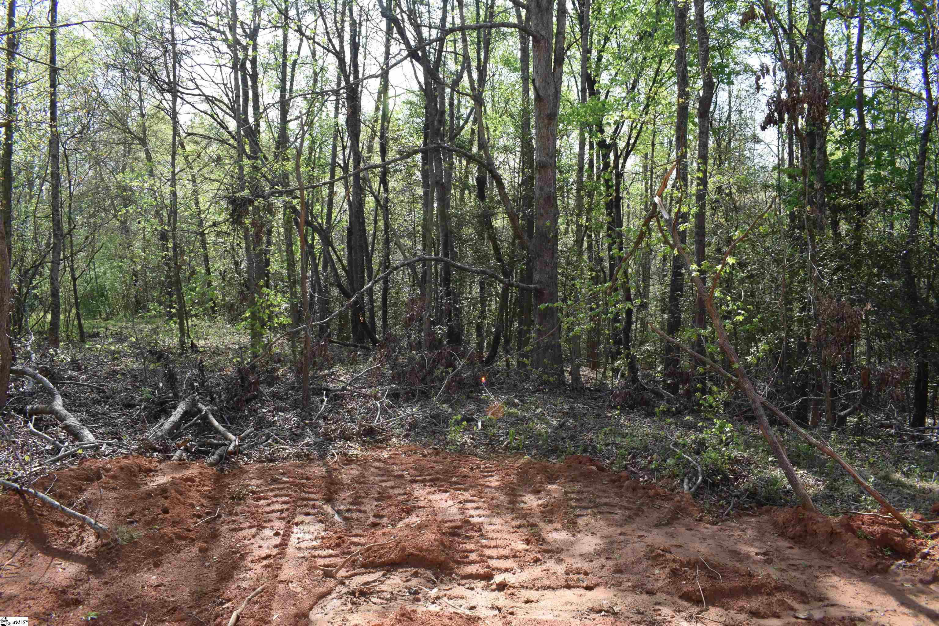 277 Philadelphia Church Road Ellenboro, NC 28040 - Photo 13 of 34