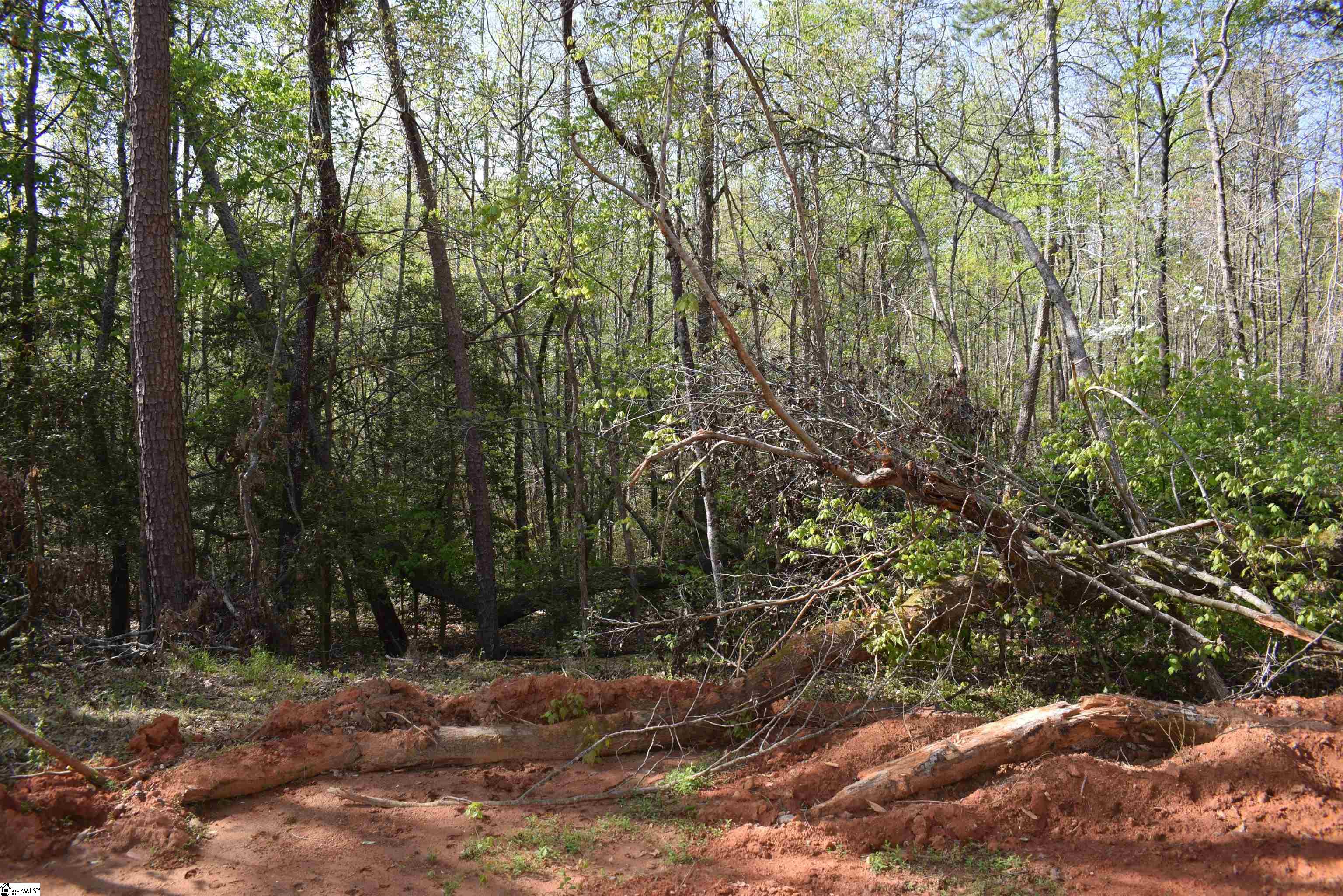 277 Philadelphia Church Road Ellenboro, NC 28040 - Photo 14 of 34