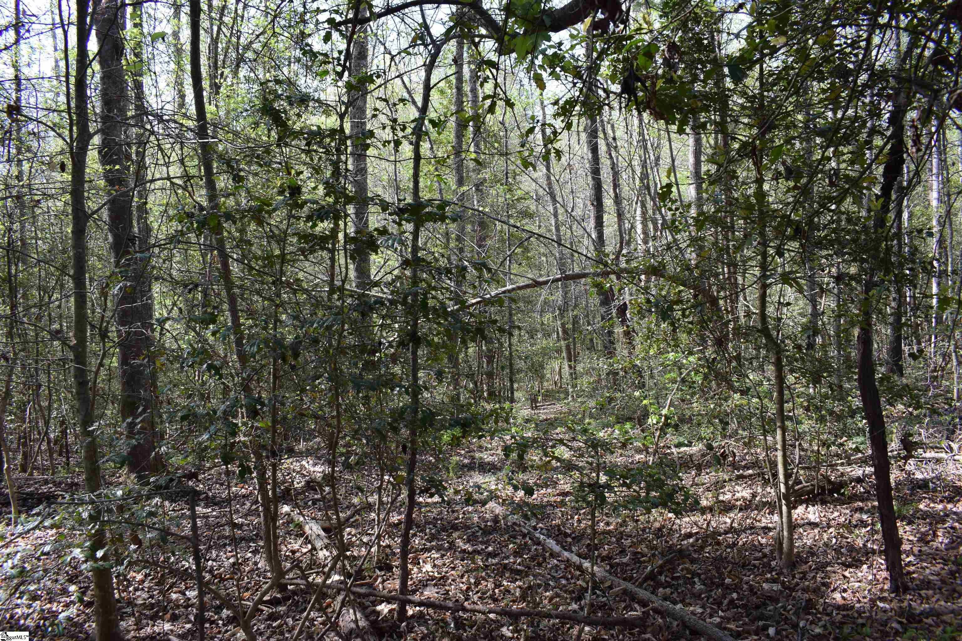 277 Philadelphia Church Road Ellenboro, NC 28040 - Photo 16 of 34