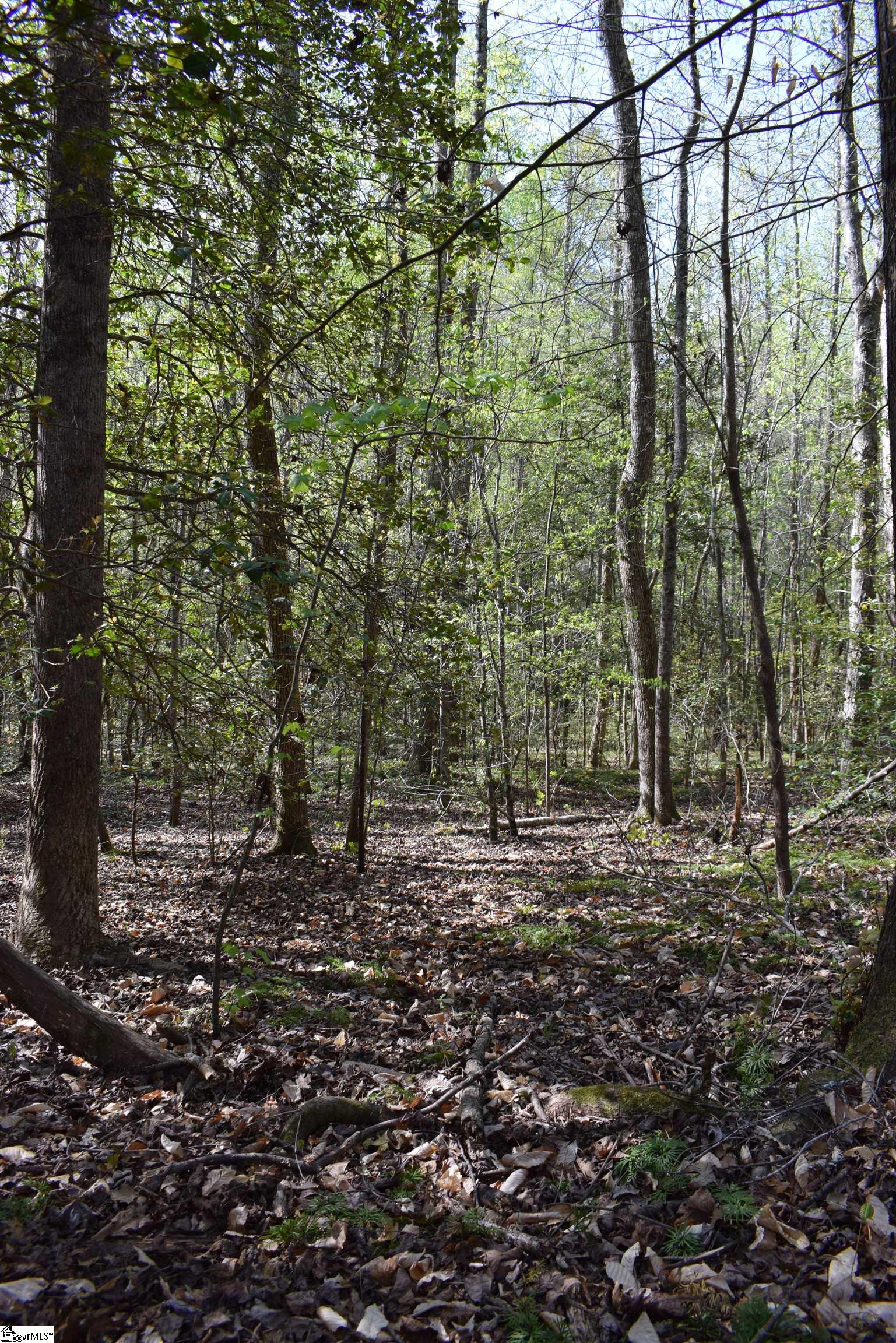 277 Philadelphia Church Road Ellenboro, NC 28040 - Photo 17 of 34