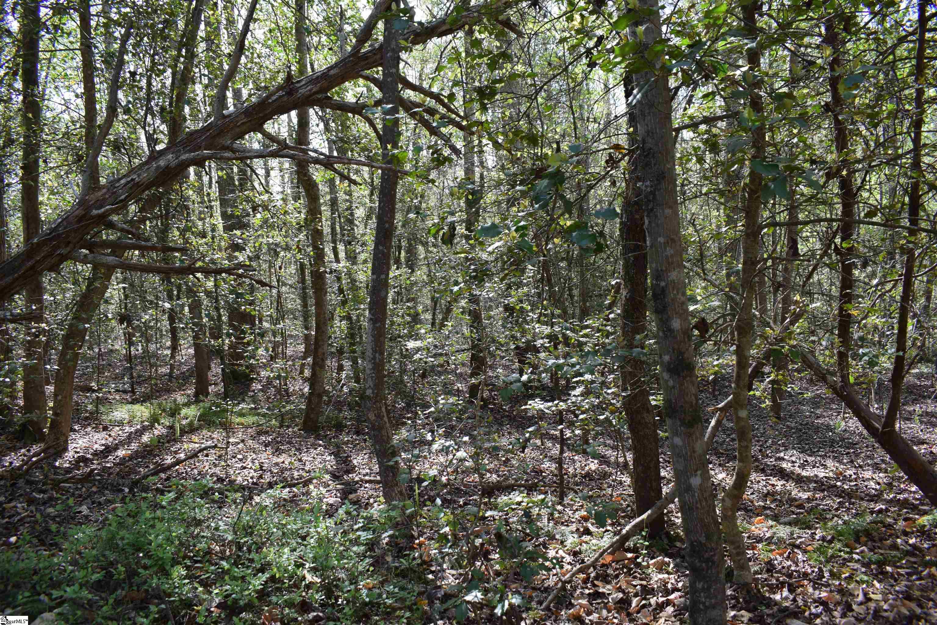 277 Philadelphia Church Road Ellenboro, NC 28040 - Photo 18 of 34