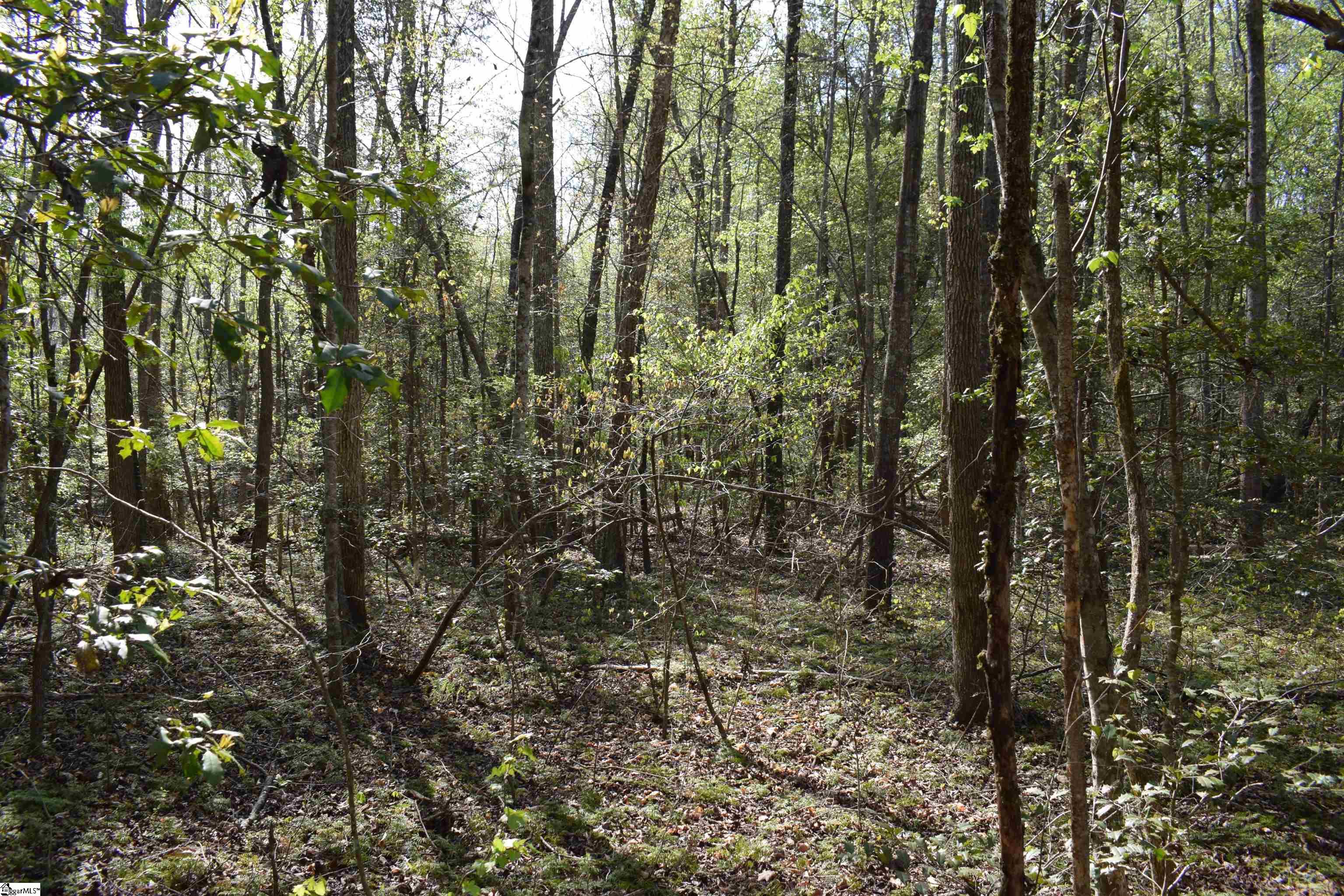 277 Philadelphia Church Road Ellenboro, NC 28040 - Photo 19 of 34