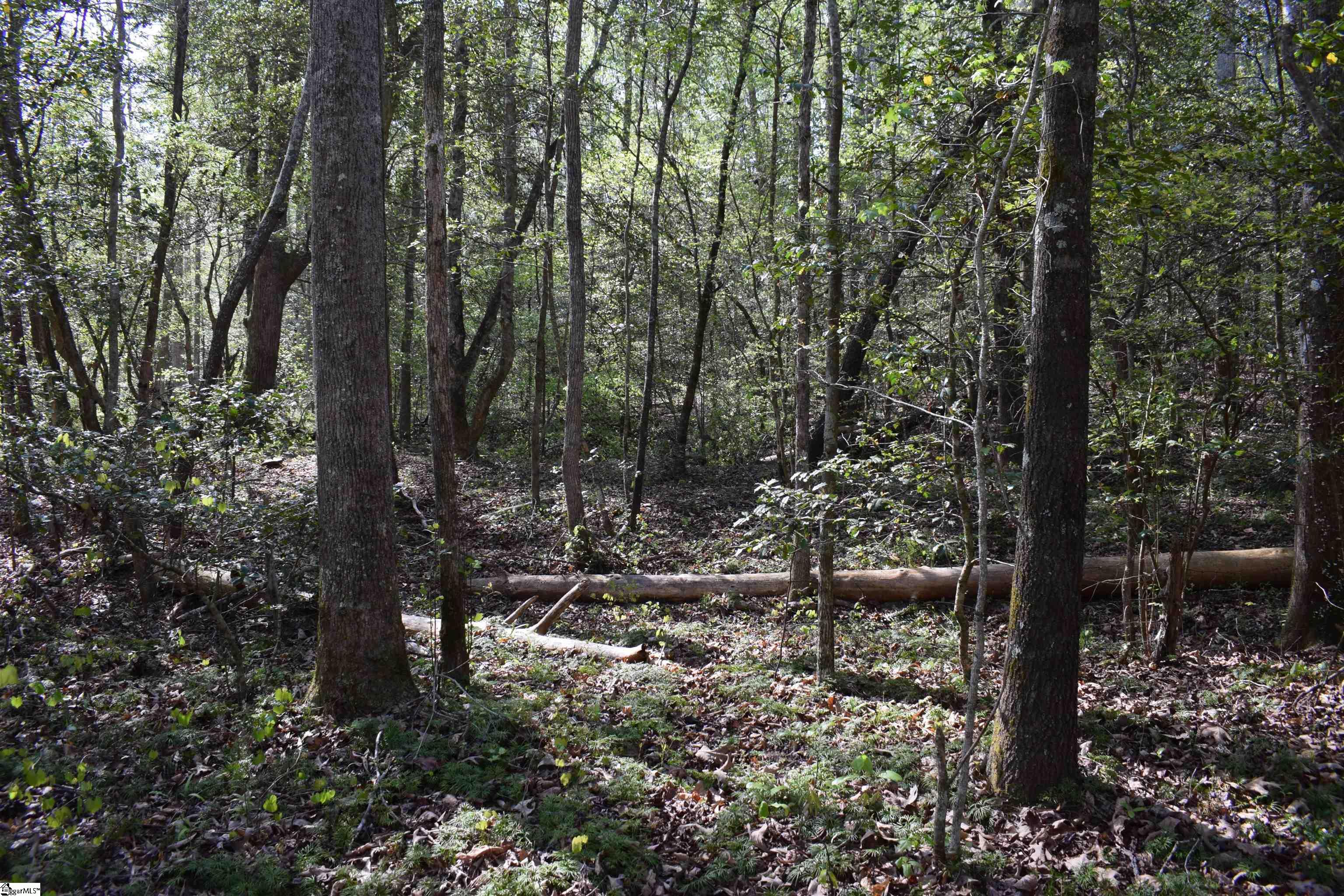 277 Philadelphia Church Road Ellenboro, NC 28040 - Photo 20 of 34