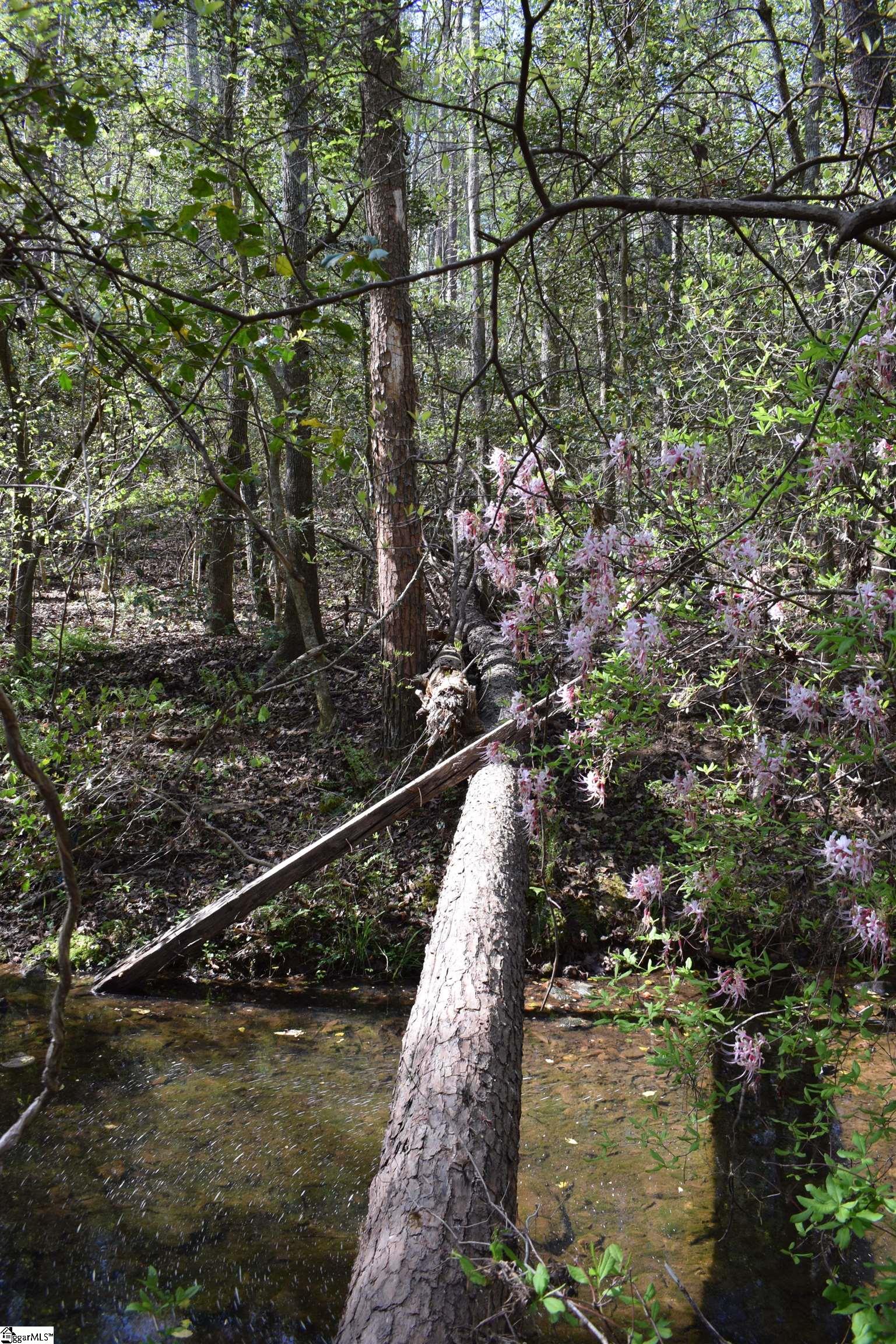 277 Philadelphia Church Road Ellenboro, NC 28040 - Photo 21 of 34