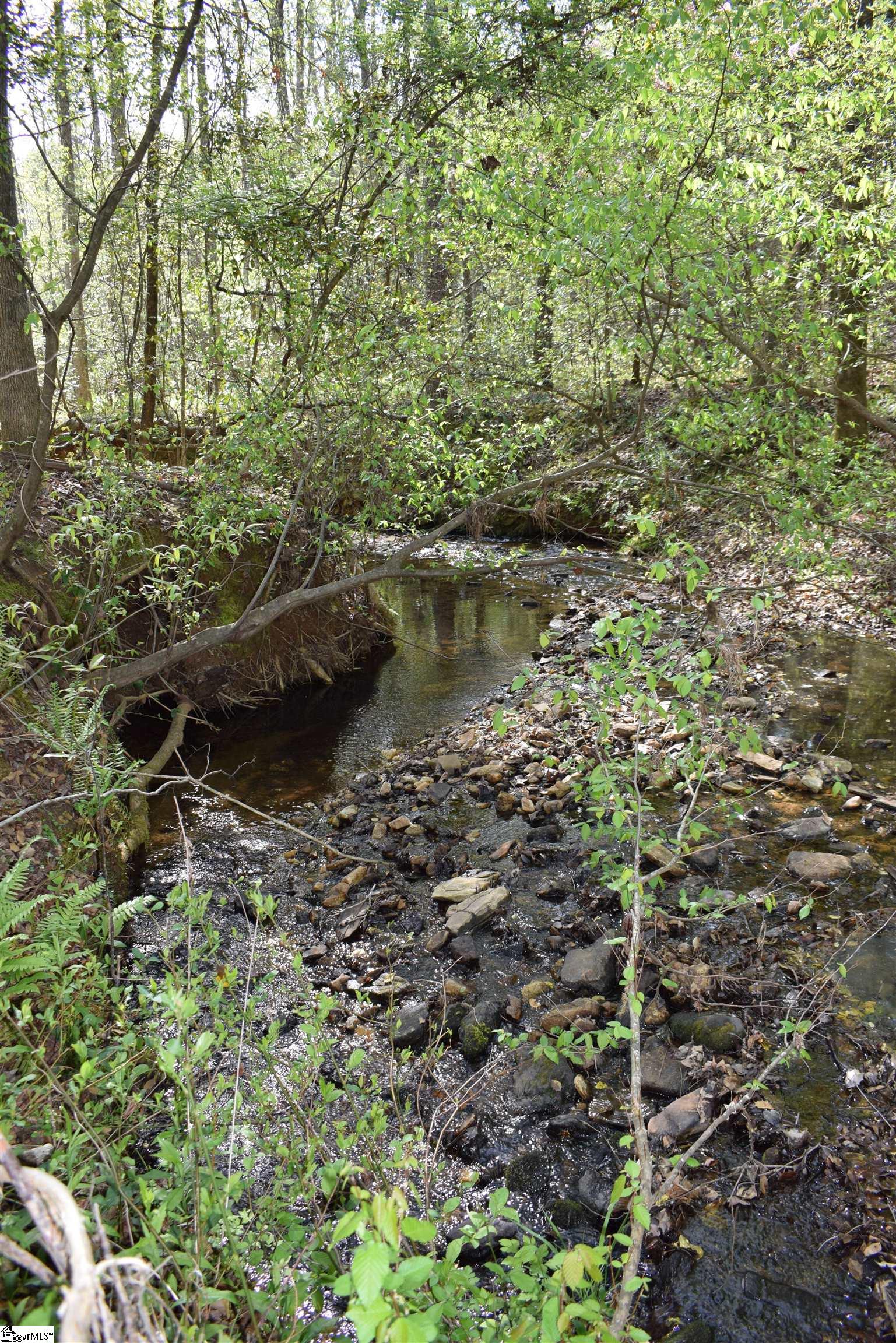 277 Philadelphia Church Road Ellenboro, NC 28040 - Photo 23 of 34