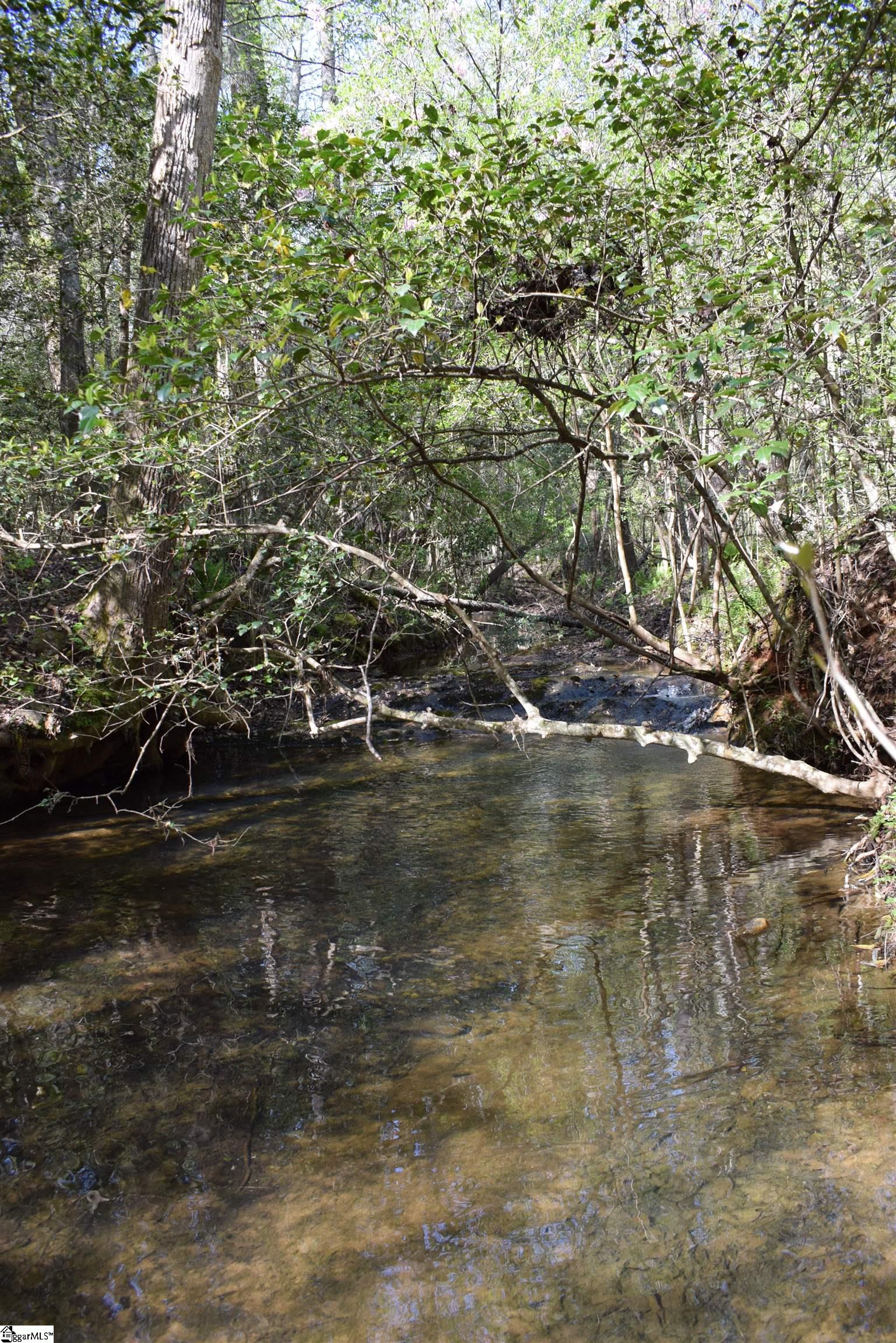 277 Philadelphia Church Road Ellenboro, NC 28040 - Photo 24 of 34