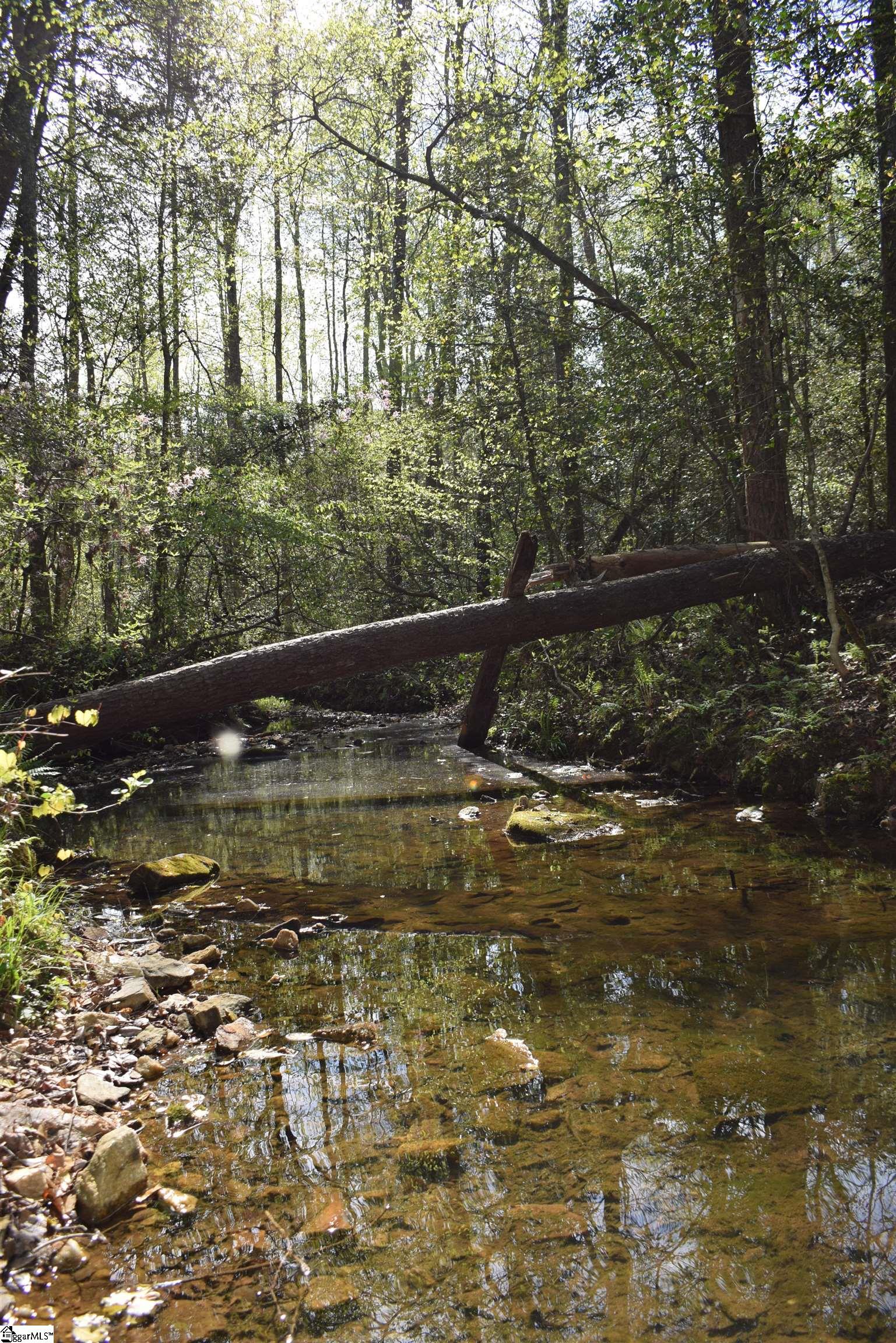 277 Philadelphia Church Road Ellenboro, NC 28040 - Photo 25 of 34