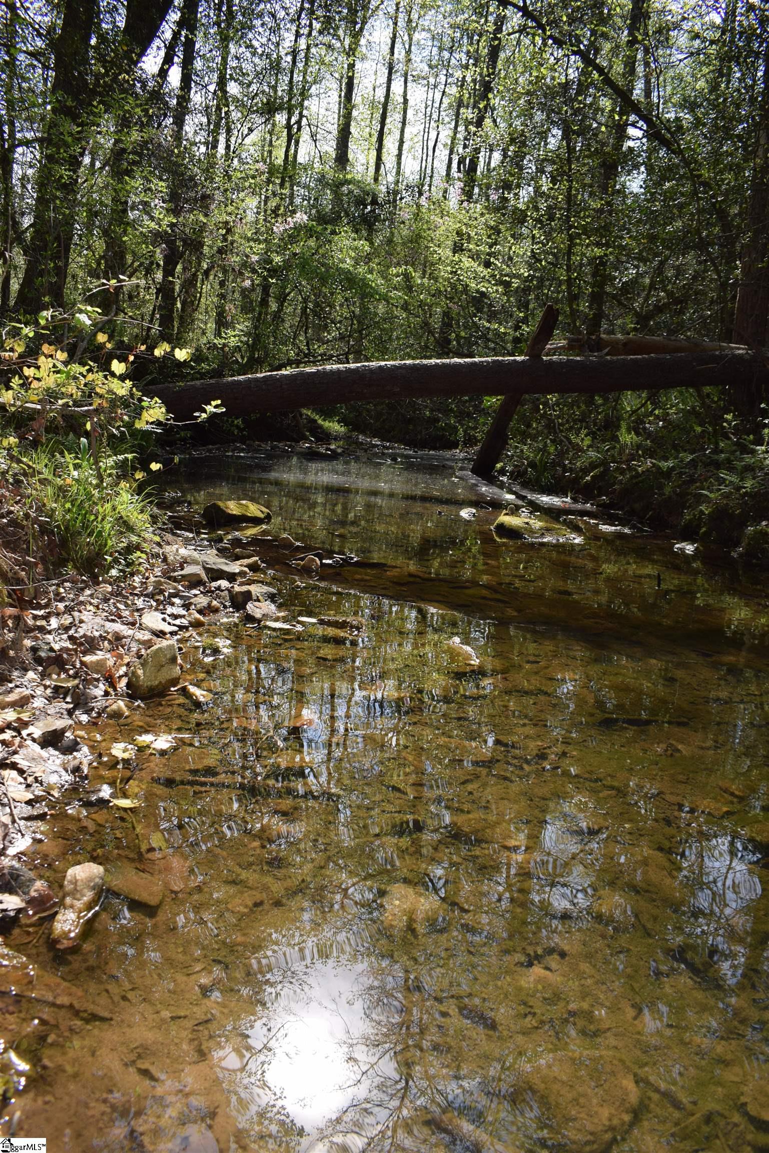 277 Philadelphia Church Road Ellenboro, NC 28040 - Photo 26 of 34