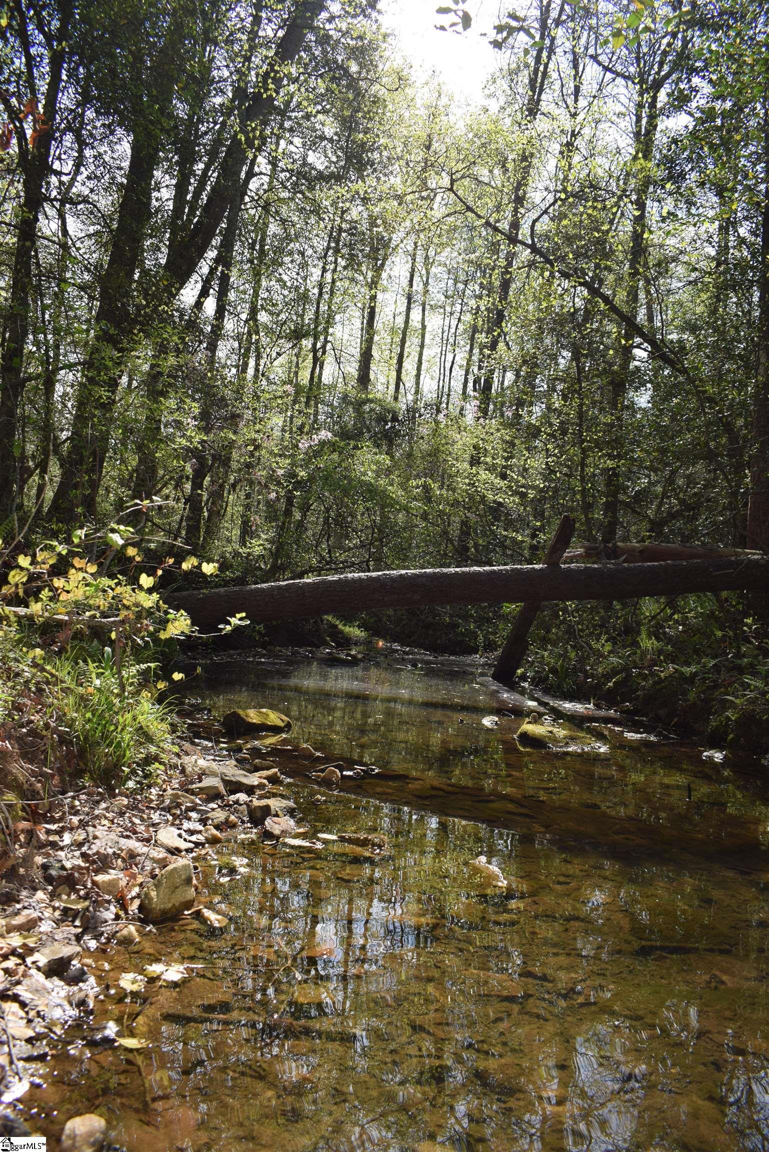 277 Philadelphia Church Road Ellenboro, NC 28040 - Photo 27 of 34