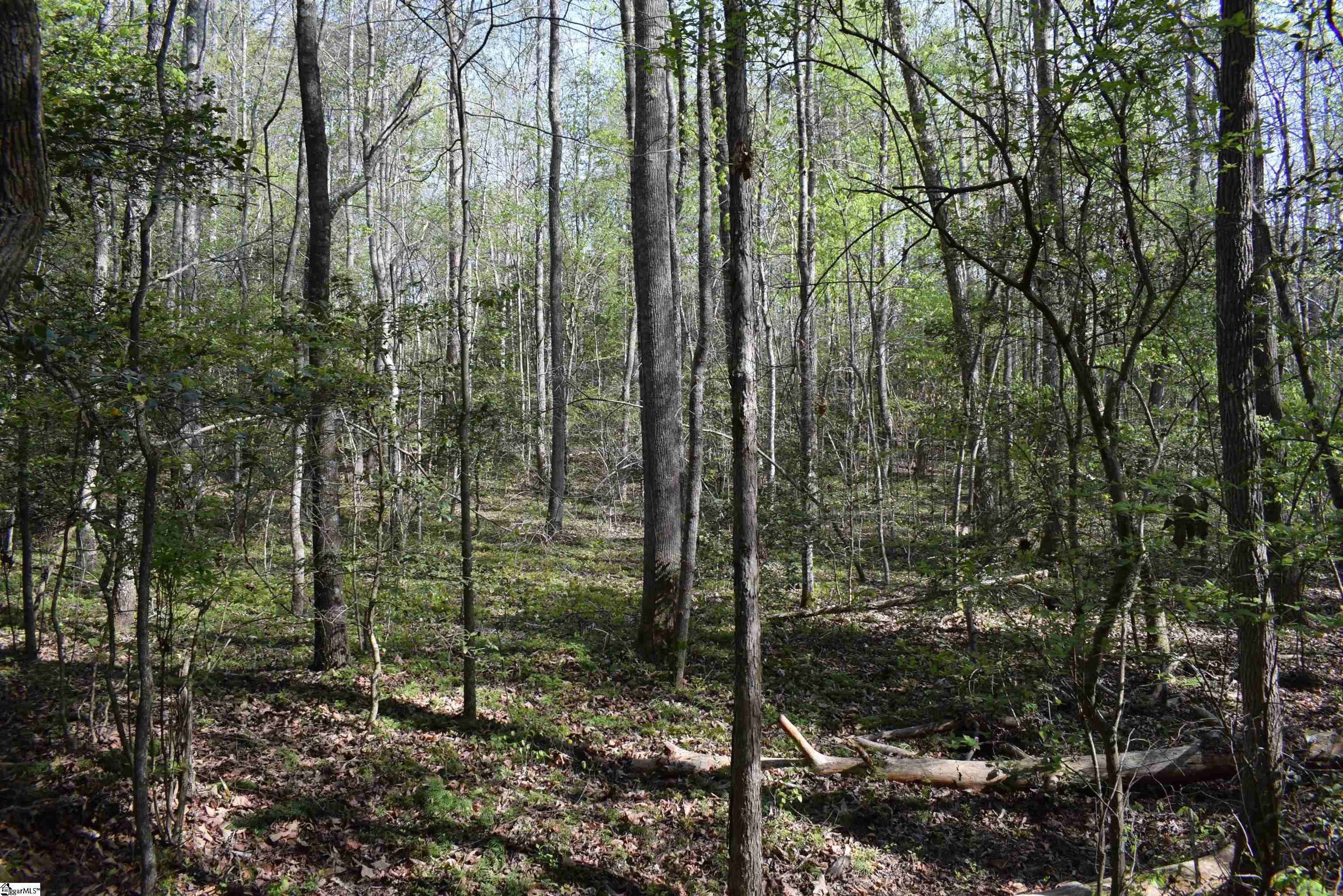 277 Philadelphia Church Road Ellenboro, NC 28040 - Photo 28 of 34