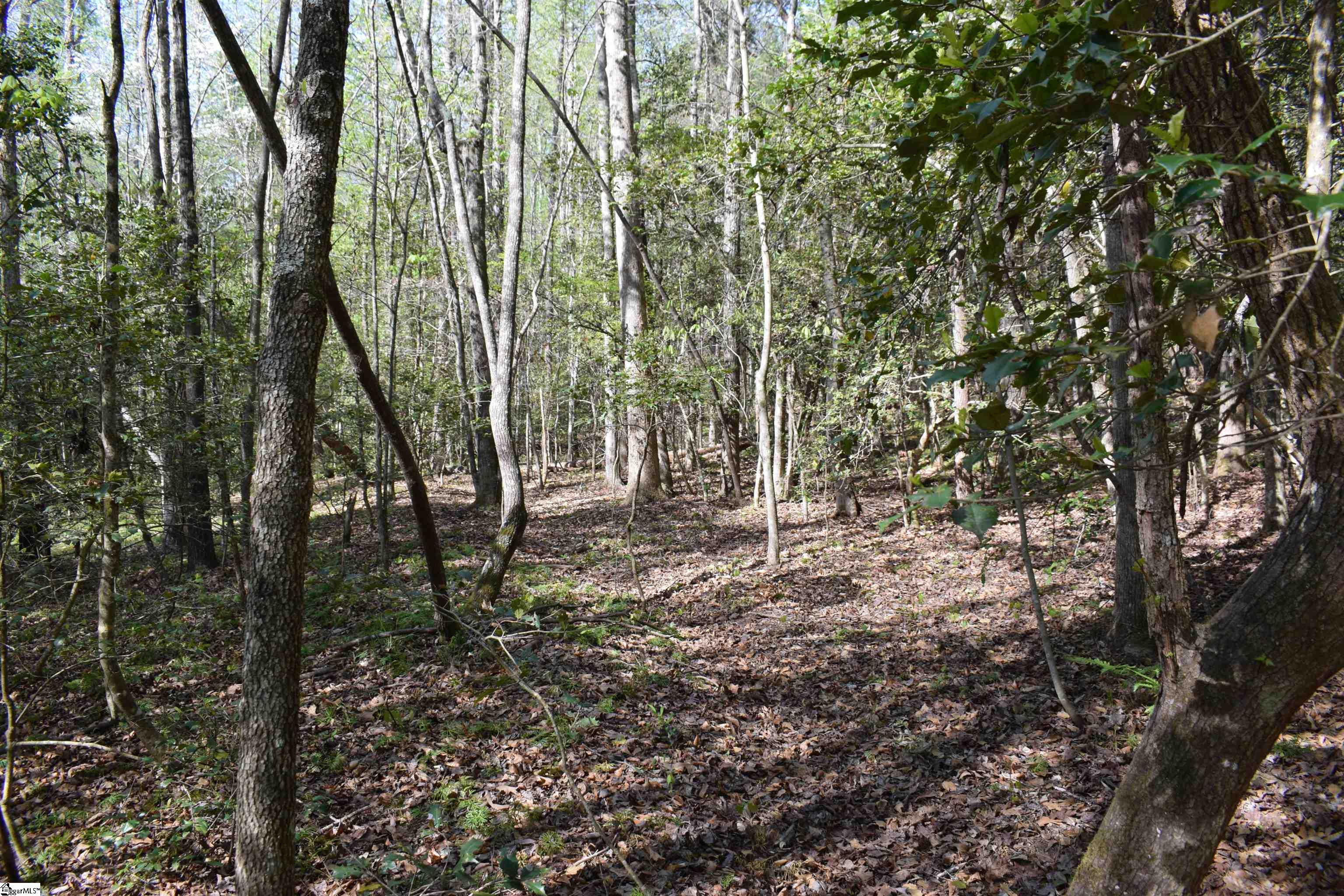 277 Philadelphia Church Road Ellenboro, NC 28040 - Photo 29 of 34