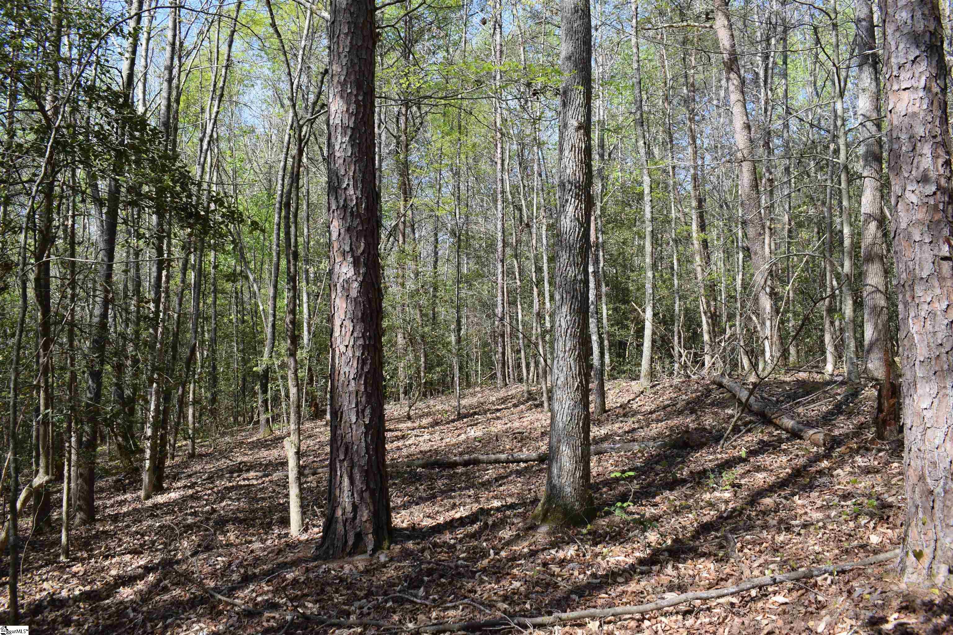 277 Philadelphia Church Road Ellenboro, NC 28040 - Photo 30 of 34