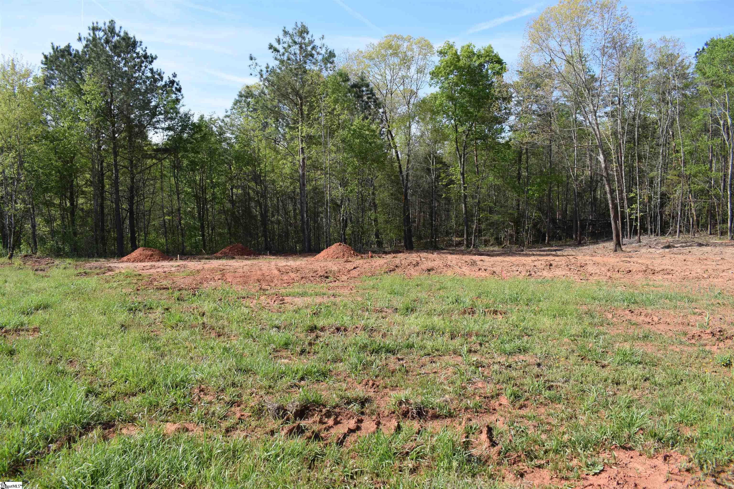 277 Philadelphia Church Road Ellenboro, NC 28040 - Photo 7 of 34