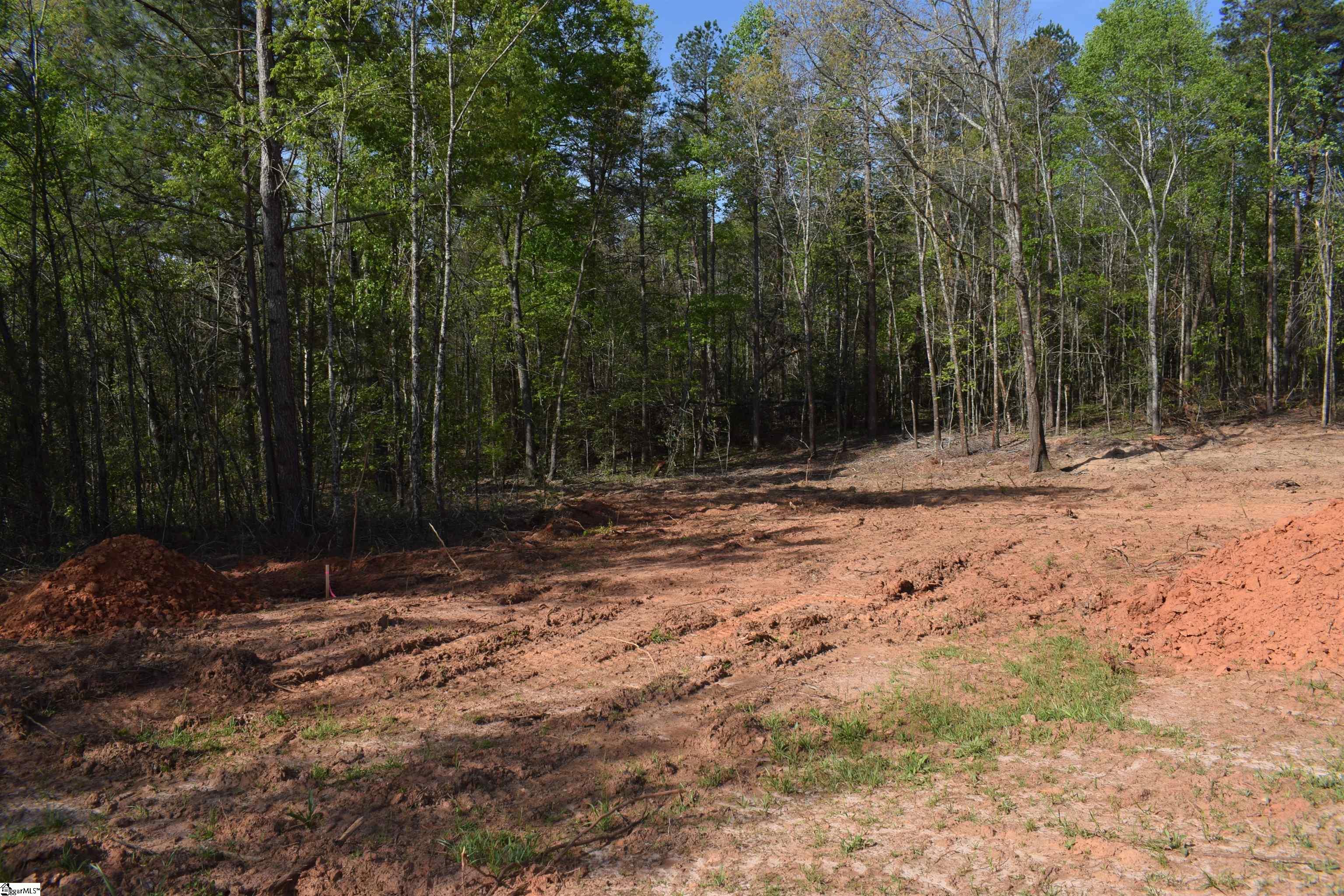 277 Philadelphia Church Road Ellenboro, NC 28040 - Photo 8 of 34