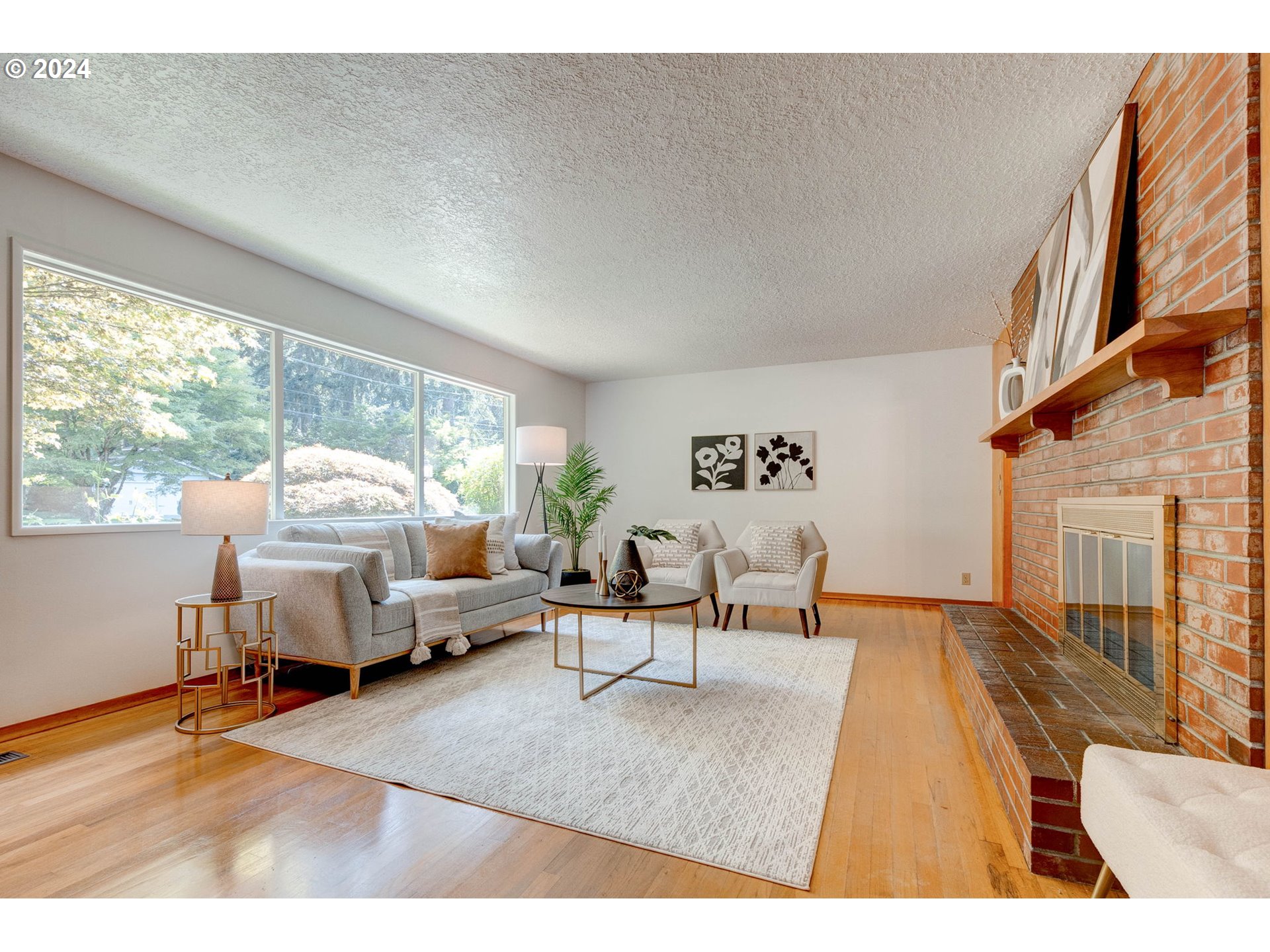 Living Room/Entrance