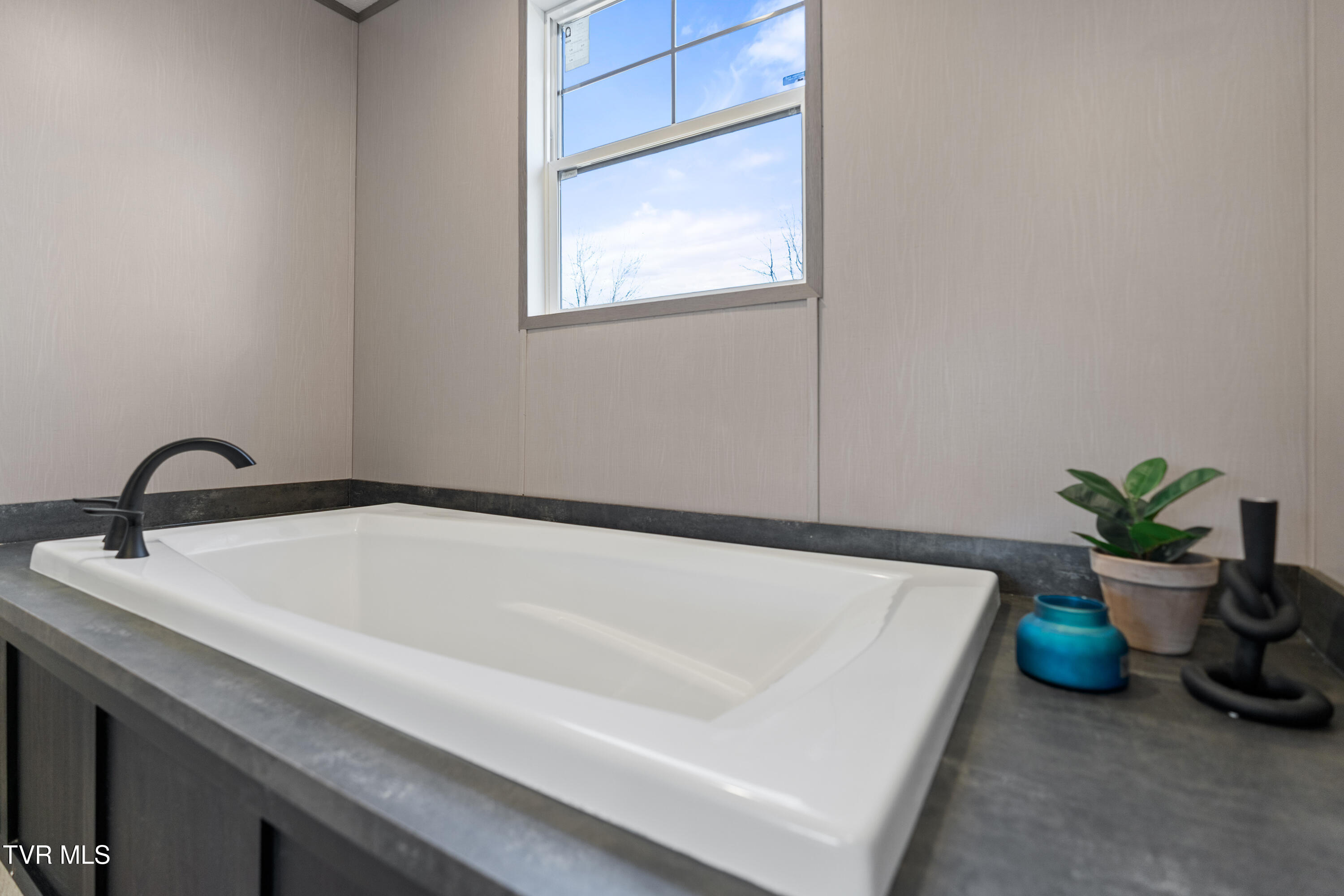 8000 Snapps Ferry Road Chuckey, TN 37641 - Photo 16 of 33 DSC08816