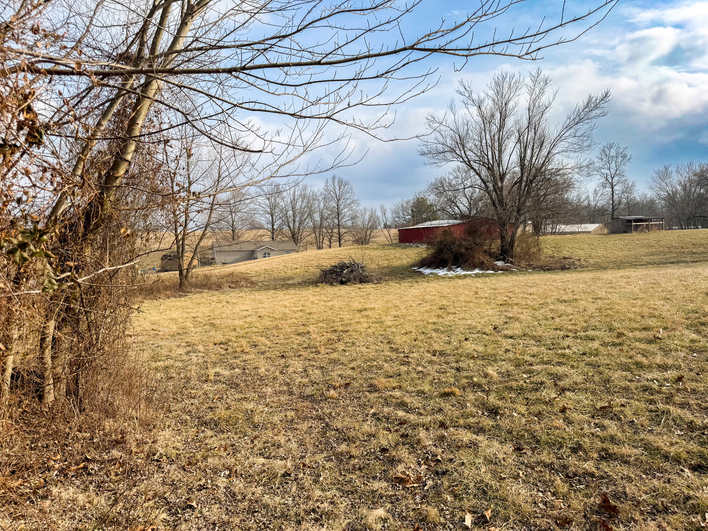 320 North Old Marion Road Goreville, IL 62939 - Photo 8 of 32