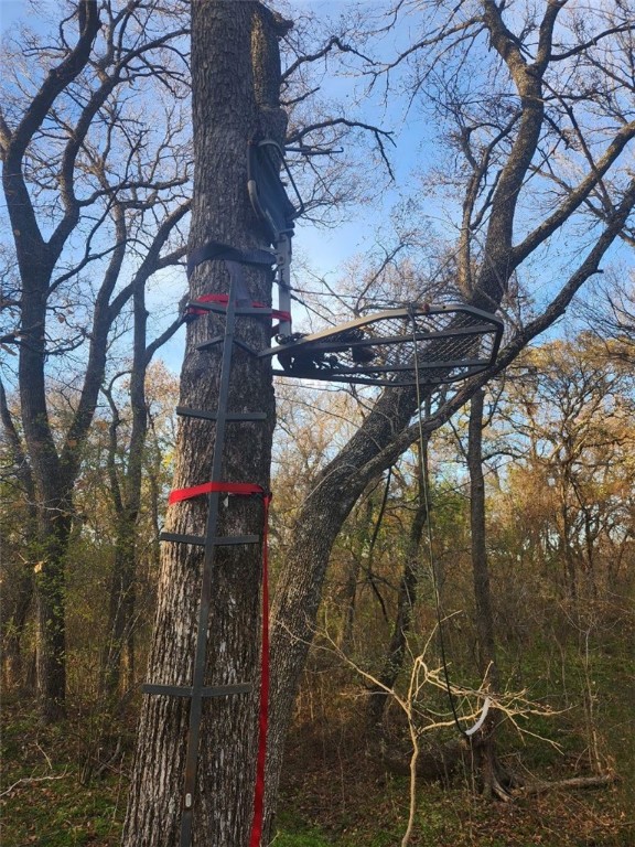 102 Rd Axtell Tx 76673 Road Mount Calm, TX 76673 - Photo 41 of 42