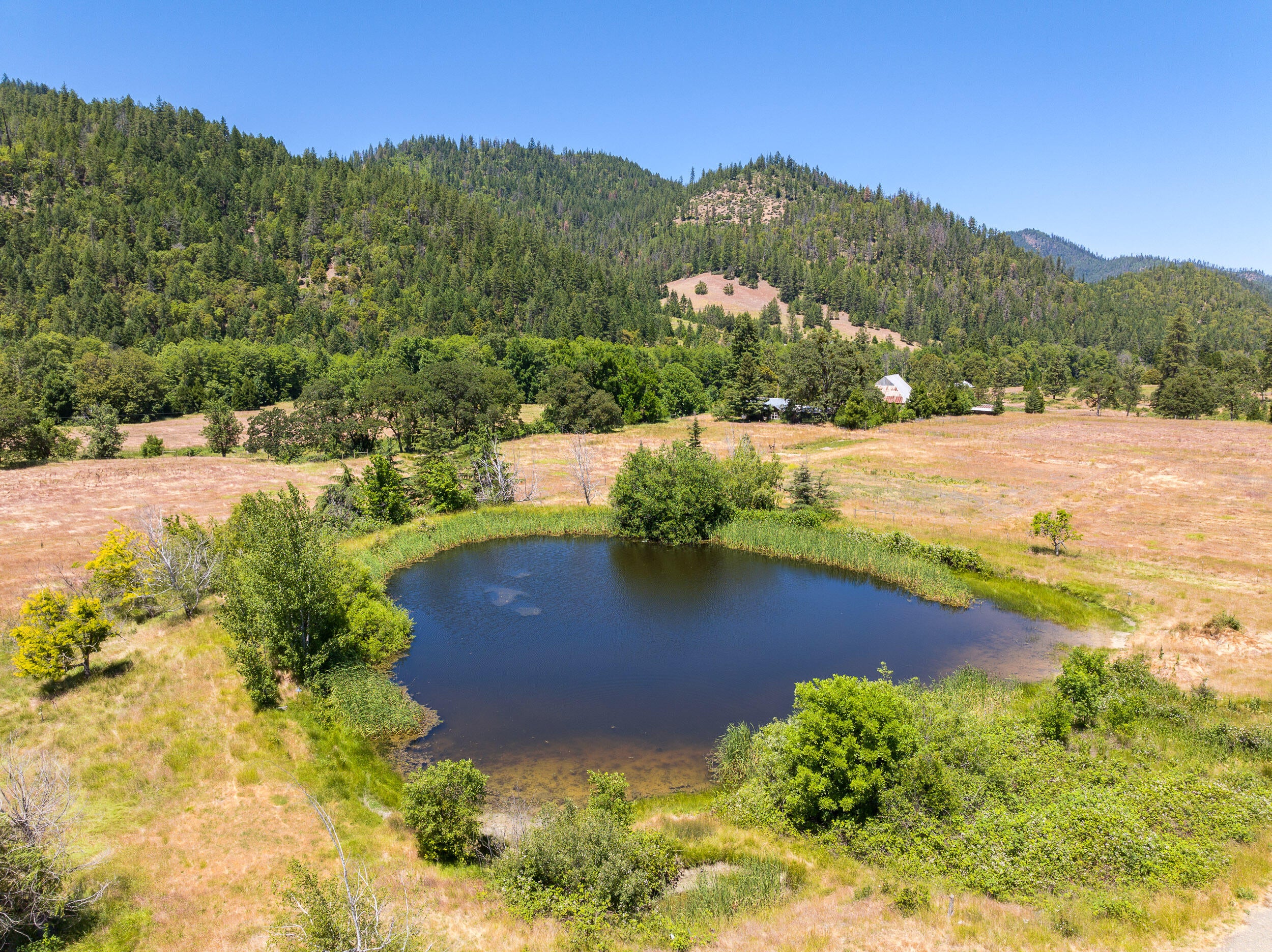 6901 Thompson Creek Road Jacksonville, OR 97530 - Photo 83 of 88 6901ThompsonCreekRd-009