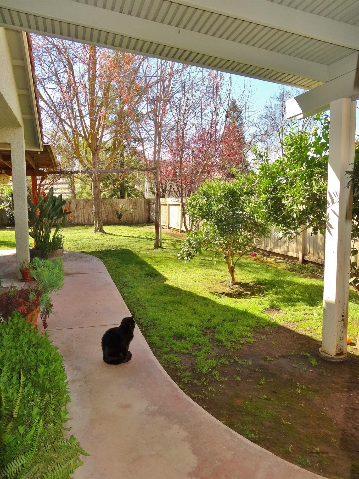 259 West Huntsman Avenue Reedley, CA 93654 - Photo 47 of 48 Gallery Image 47