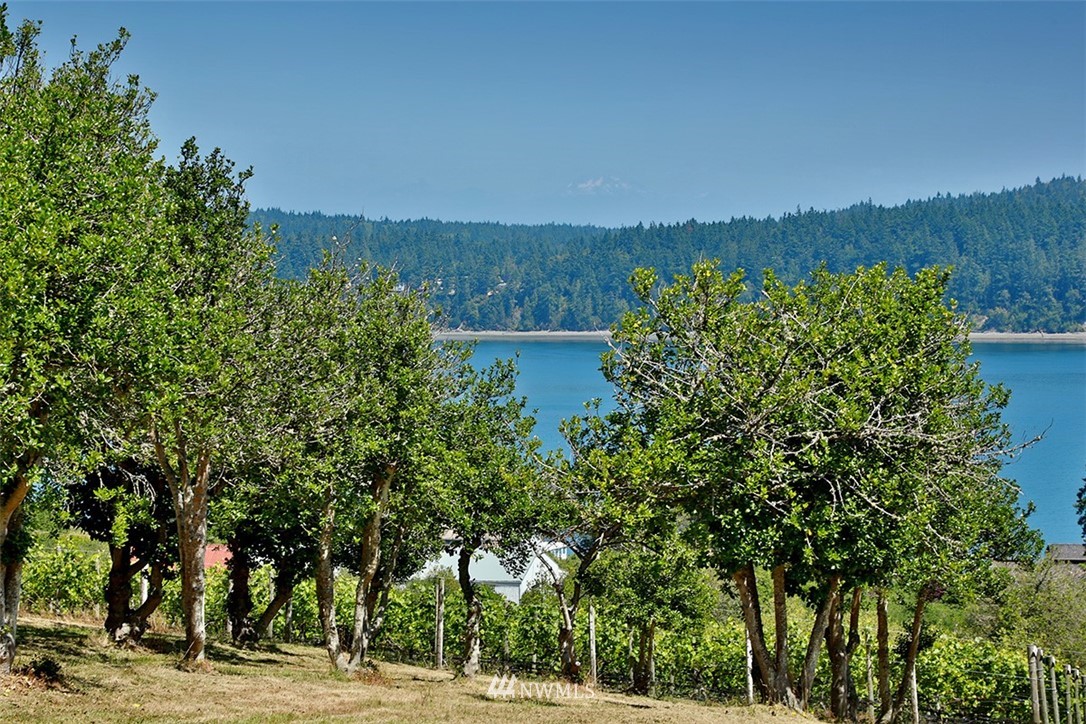 000 Bercot Road Freeland, WA 98249 - Photo 14 of 38 Gallery Image 14