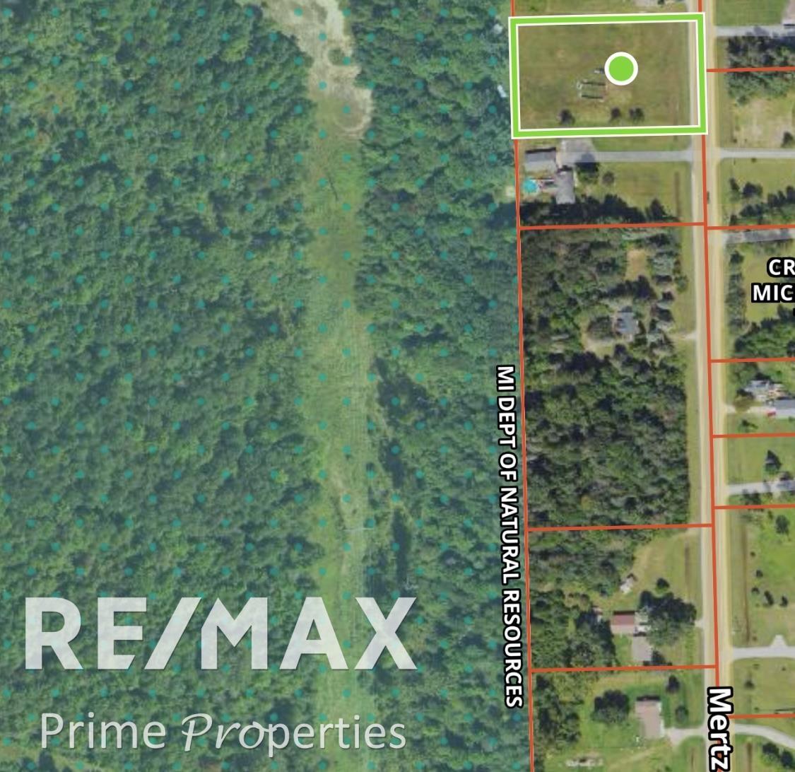0 Mertz Road Caro, MI 48723 - Photo 7 of 8