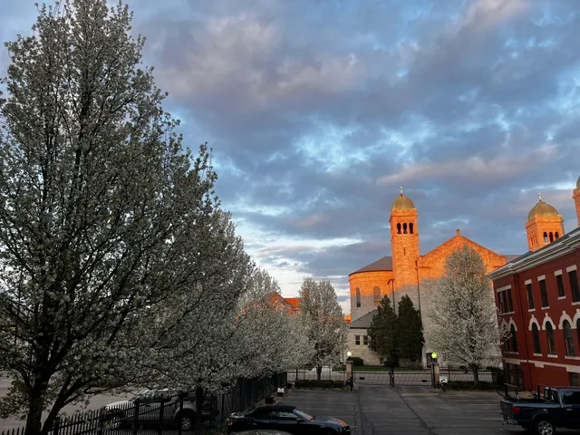 $349,900 | 109 West Washington Avenue, Unit 8, Jackson, MI 49201