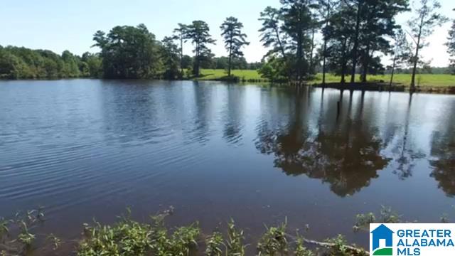 1854 Claud Fleahop Road, Unit 129 4 Eclectic, AL 36024 - Photo 6 of 50